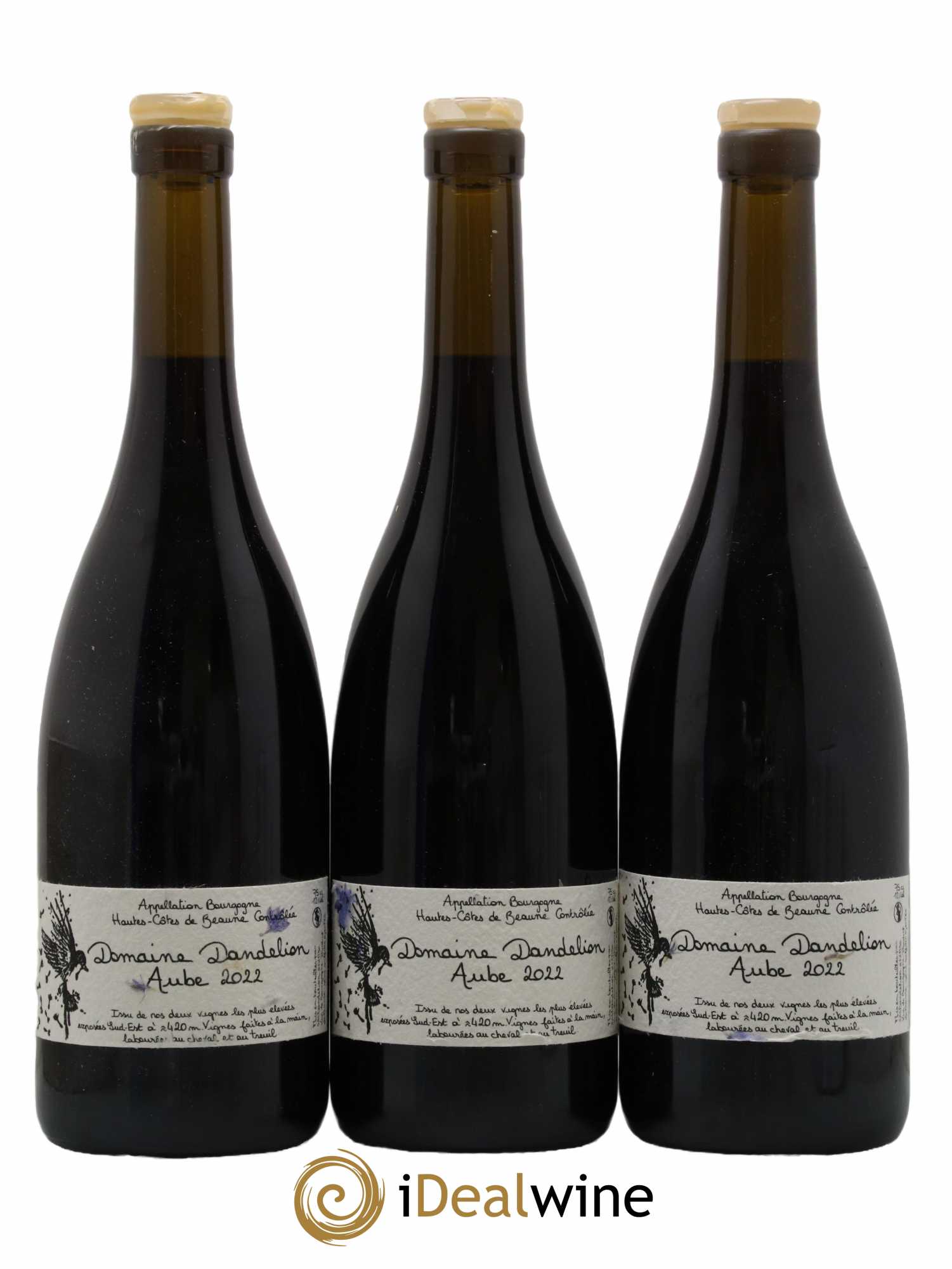 Hautes-Côtes de Beaune Aube Domaine Dandelion 2022 - Lotto di 3 bottiglie - 0