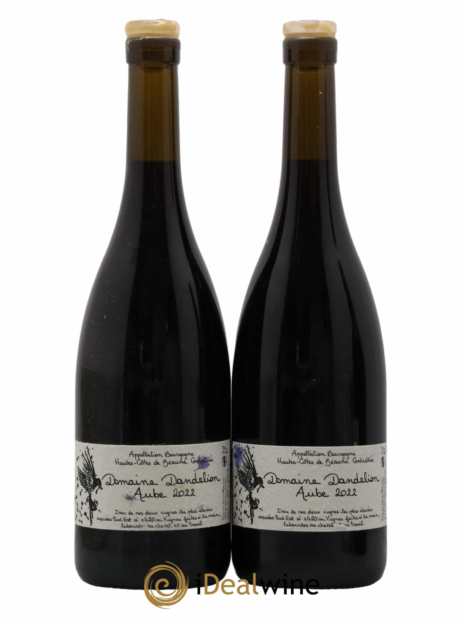 Hautes-Côtes de Beaune Aube Domaine Dandelion 2022 - Lot de 2 bouteilles - 0
