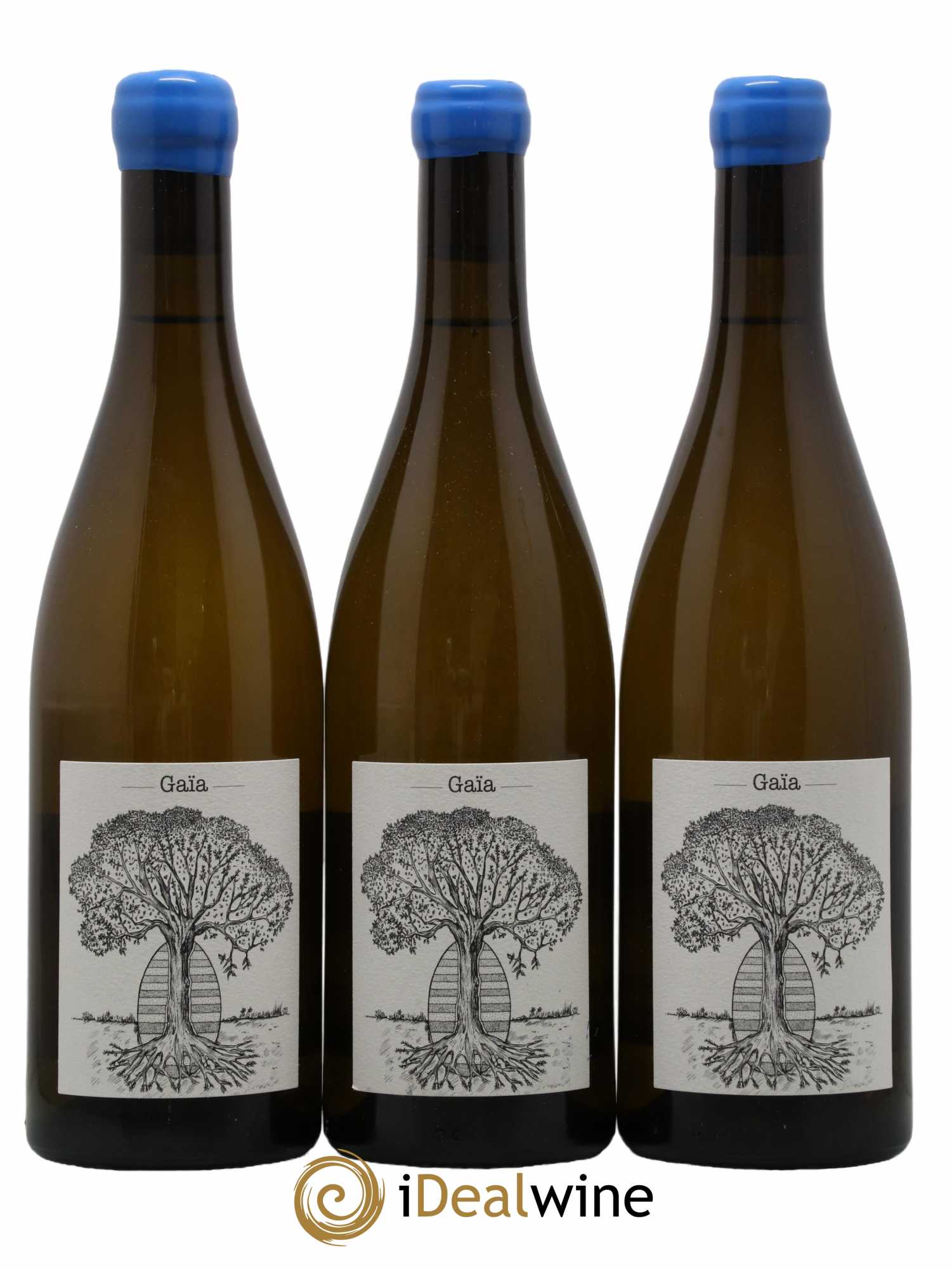 Muscadet-Sèvre-et-Maine Gaia Jérôme Bretaudeau - Domaine de Bellevue 2021 - Lot de 3 bouteilles - 0