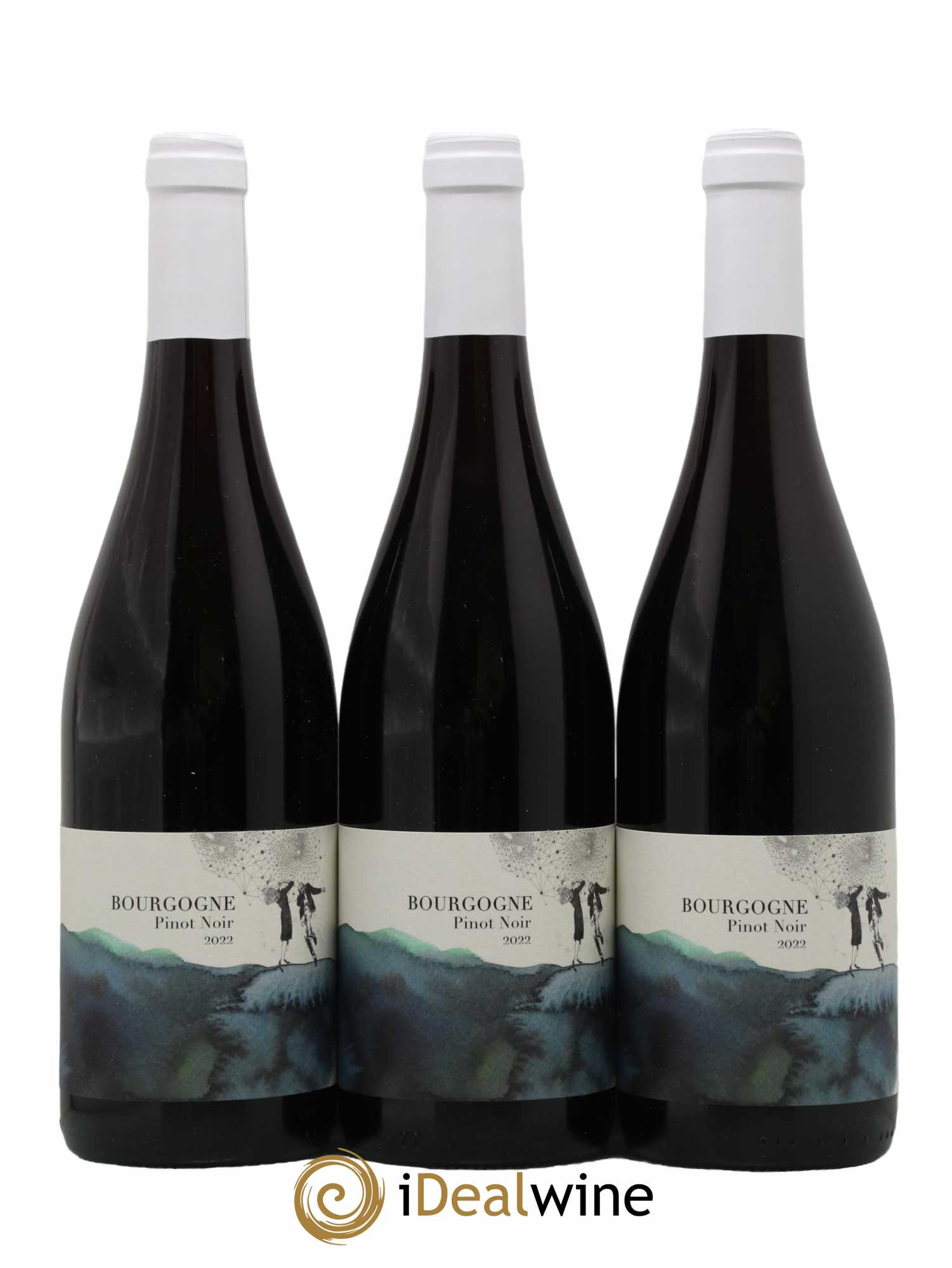 Bourgogne Didon (Domaine) 2022 - Lot de 3 bouteilles - 0