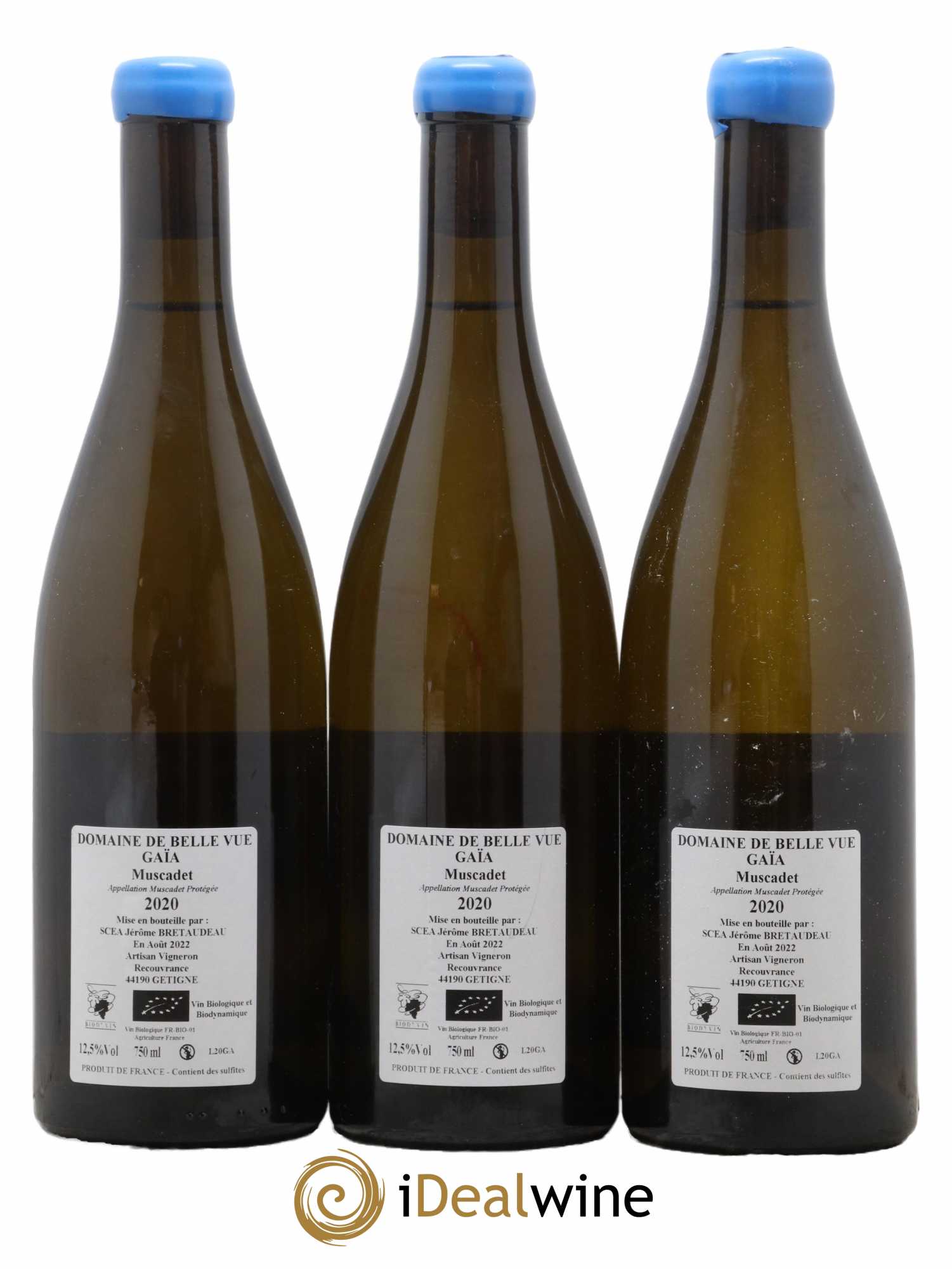 Muscadet-Sèvre-et-Maine Gaia Jérôme Bretaudeau - Domaine de Bellevue 2020 - Lot de 3 bouteilles - 1