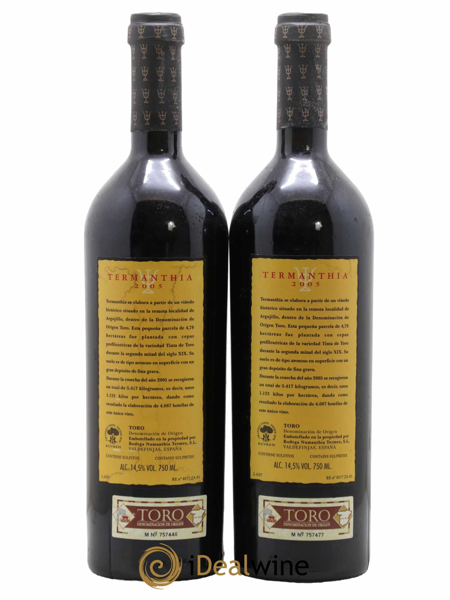 Toro DO Bodega Numanthia Termanthia 2005 - Lotto di 2 bottiglie - 1