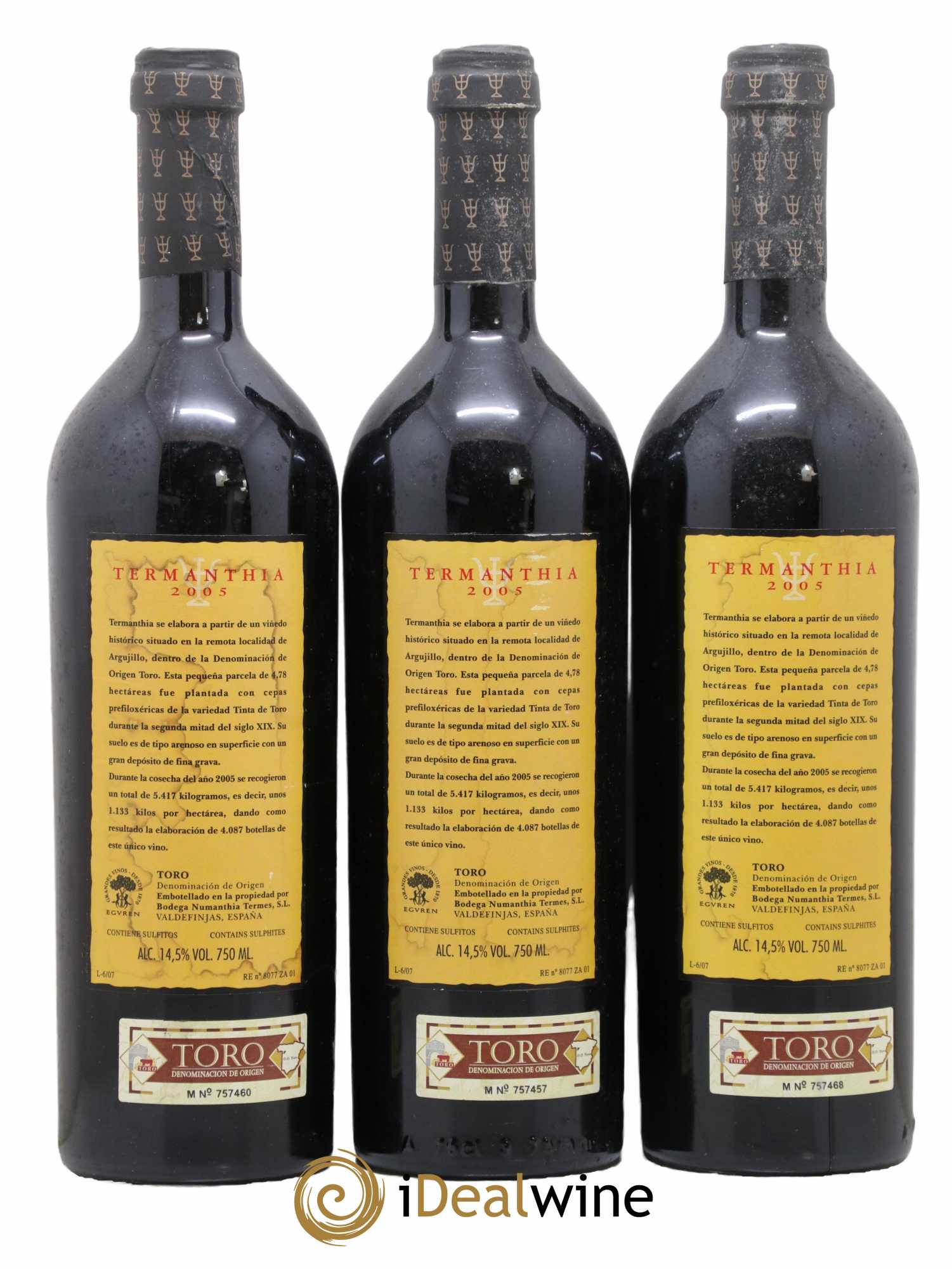 Toro DO Bodega Numanthia Termanthia 2005 - Lot de 3 bouteilles - 1