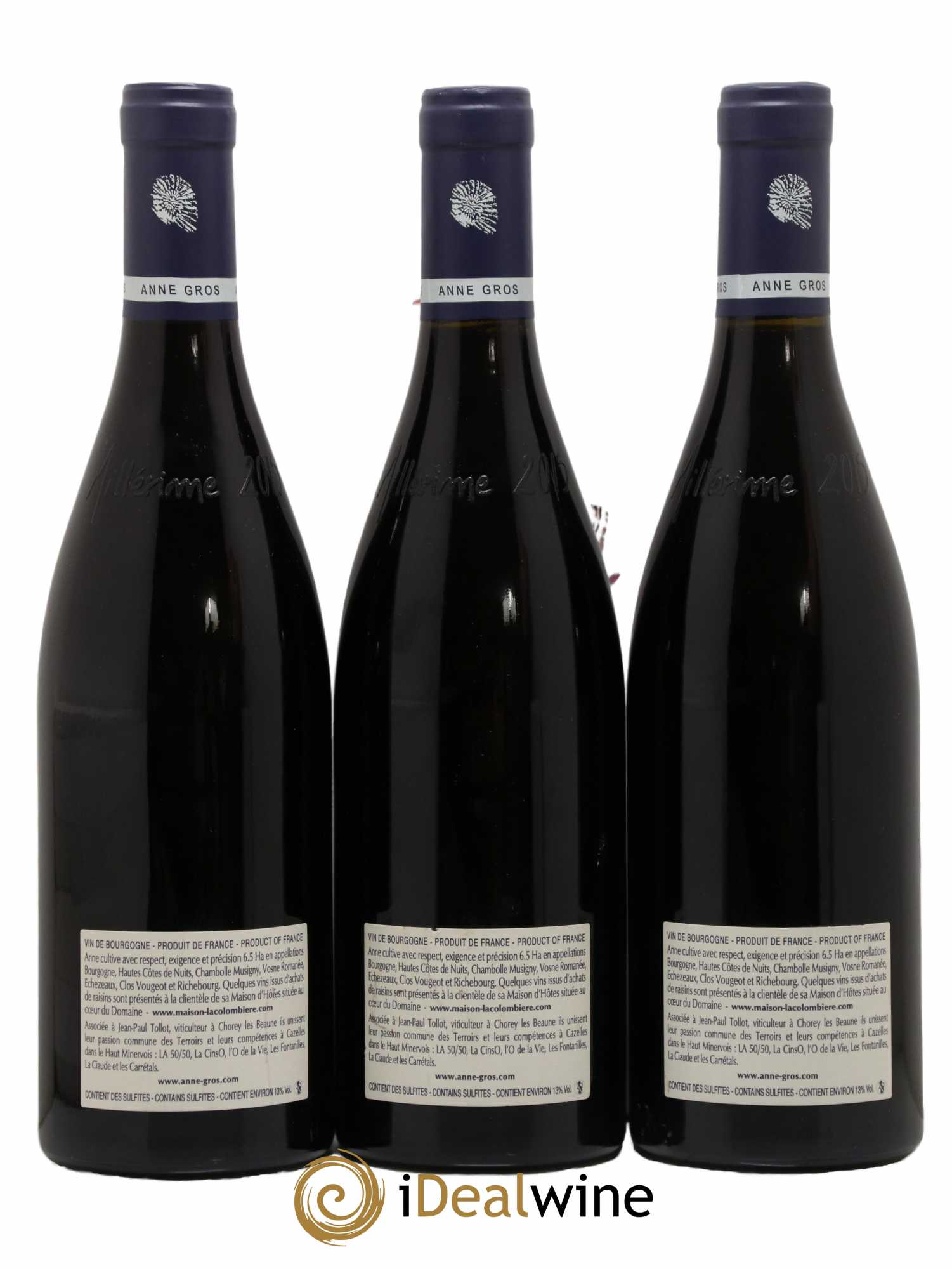 Clos de Vougeot Grand Cru Le Grand Maupertui Anne Gros 2015 - Lot de 3 bouteilles - 1