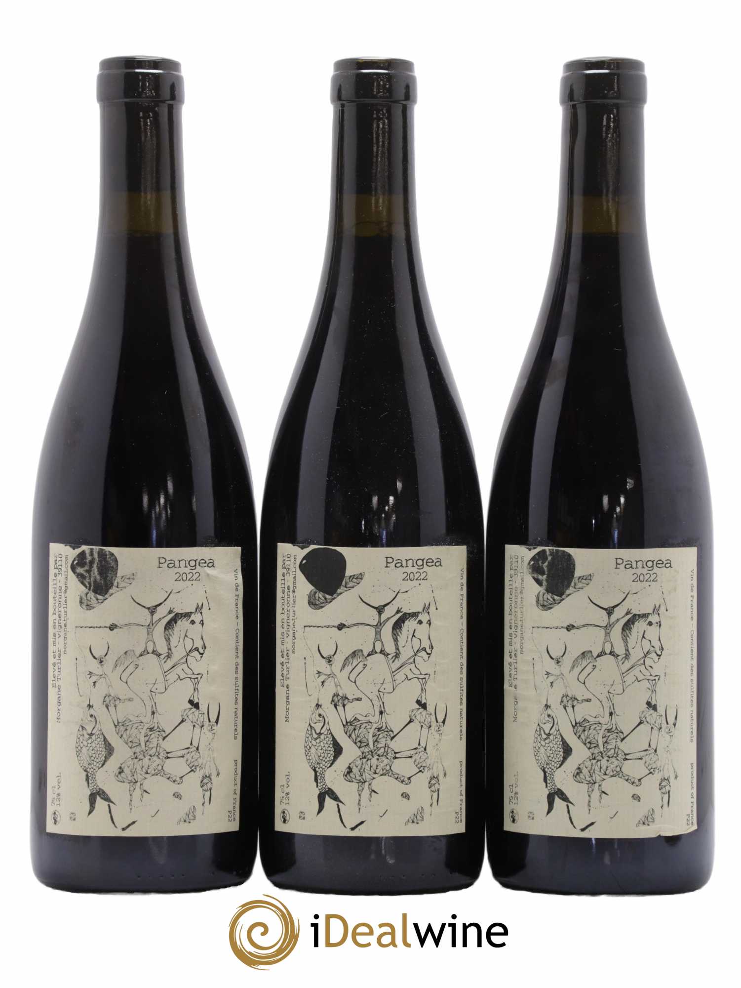 Vin de France Pangea Morgane Turlier 2022 - Lot de 3 bouteilles - 0