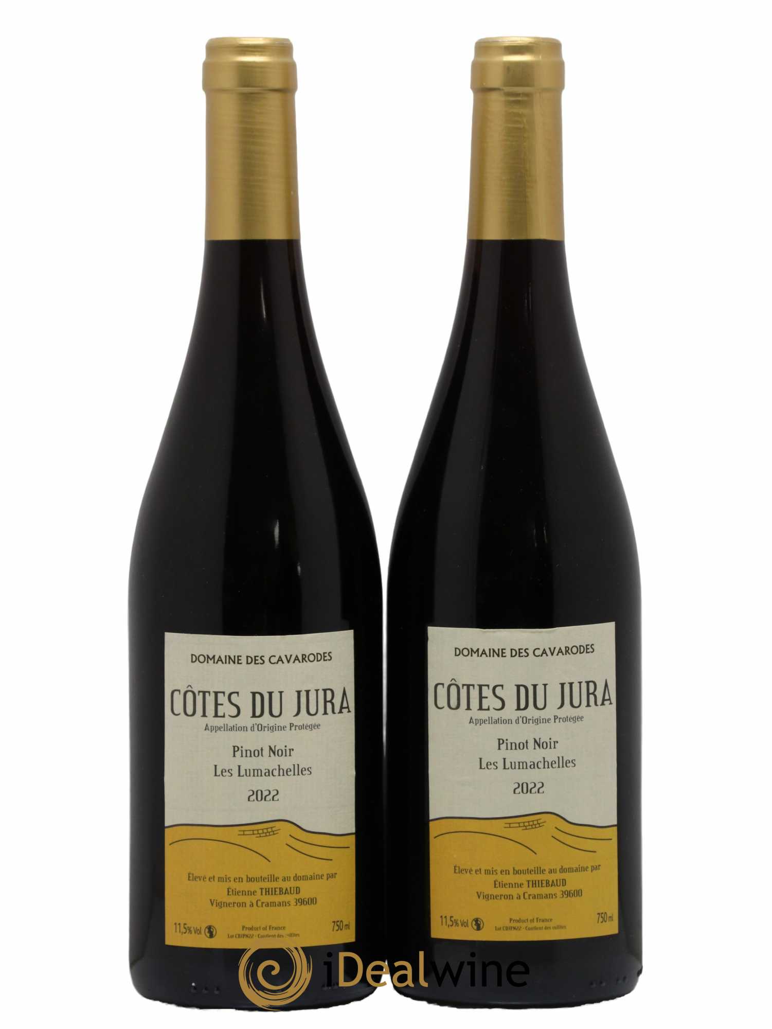 Côtes du Jura Pinot Noir Les Lumachelles Cavarodes (Domaine des) - Etienne Thiébaud 2022 - Lot de 2 bouteilles - 0