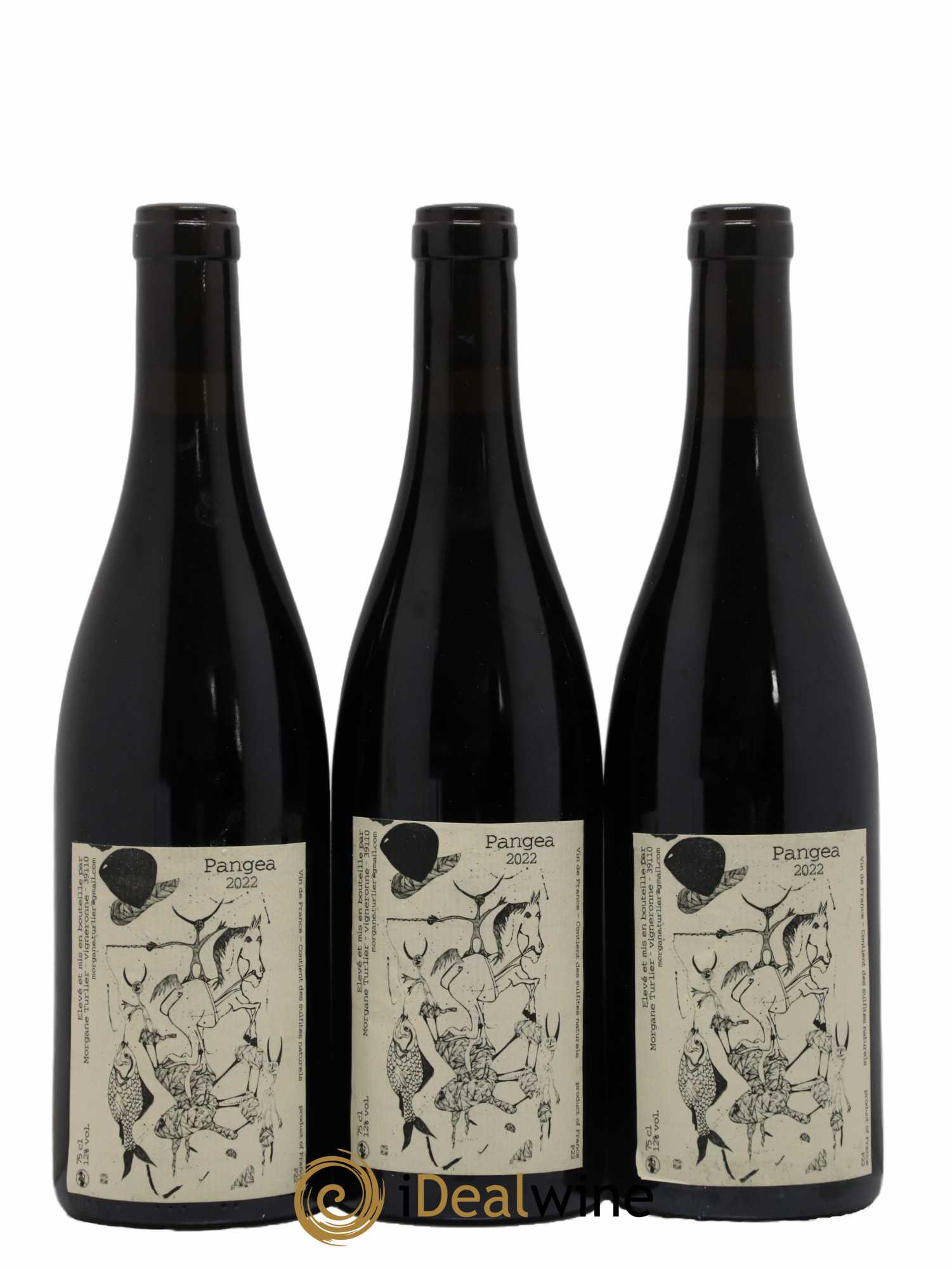 Vin de France Pangea Morgane Turlier 2022 - Lot de 3 bouteilles - 0