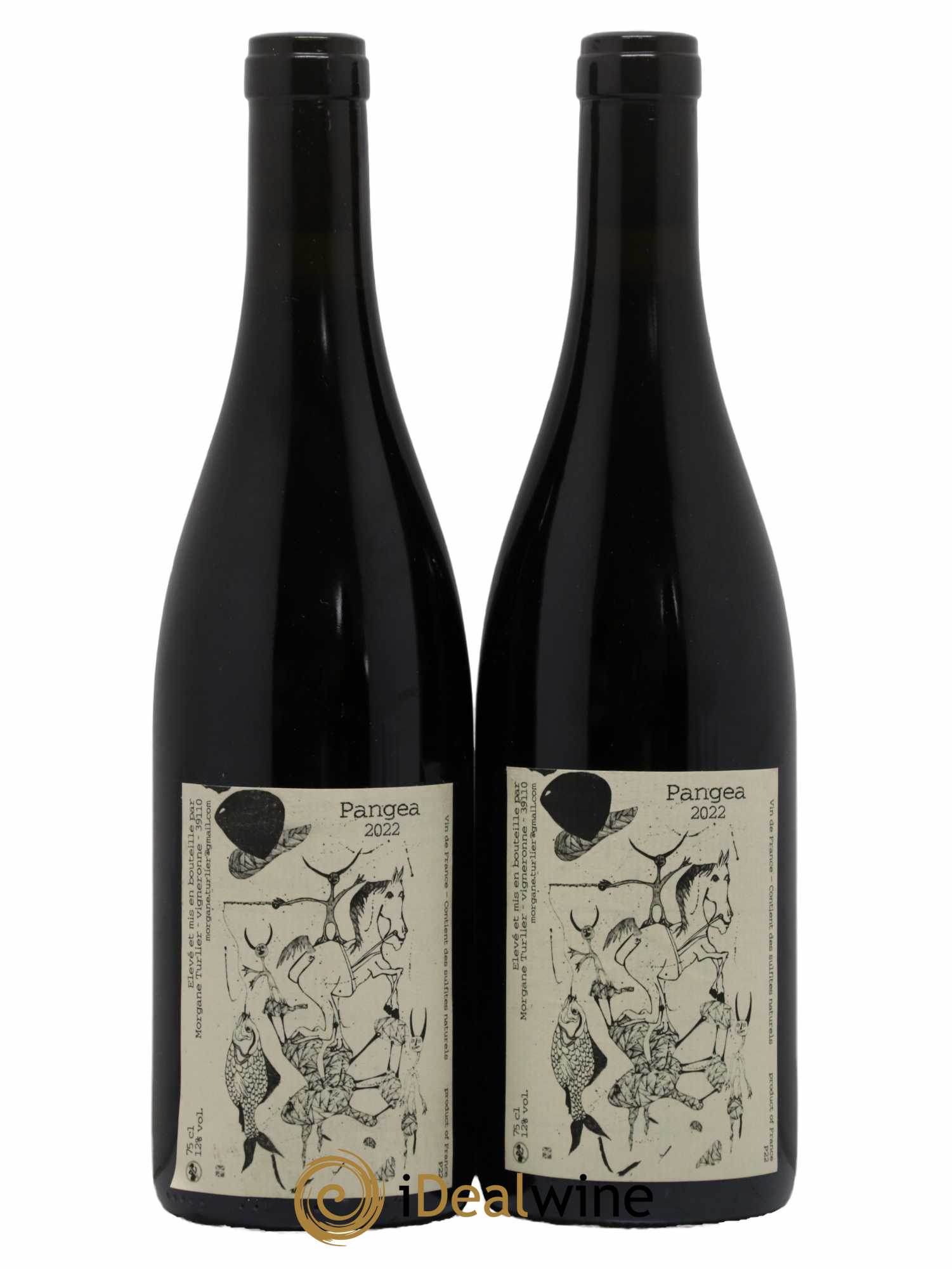 Vin de France Pangea Morgane Turlier 2022 - Lot de 2 bouteilles - 0