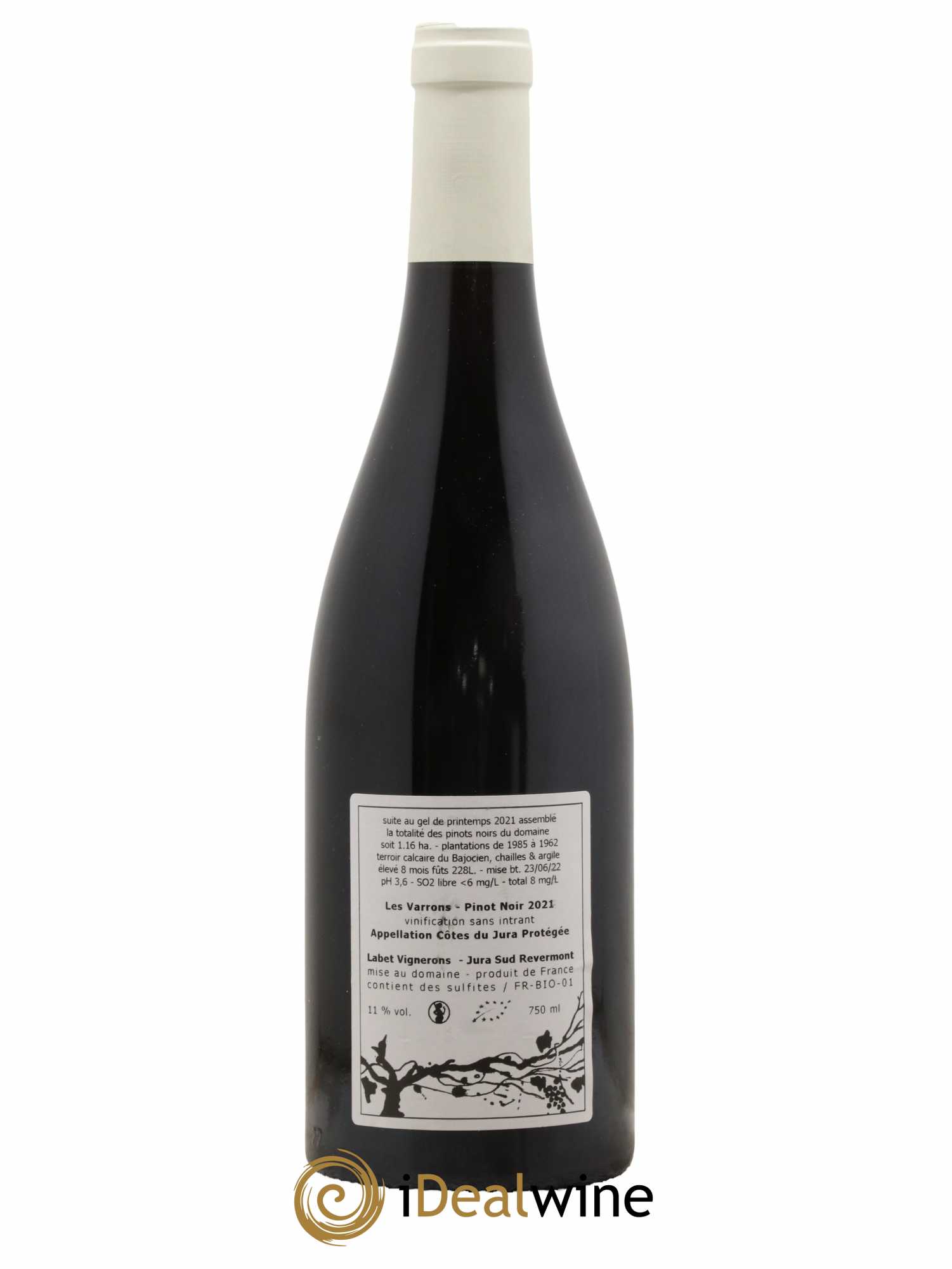 Côtes du Jura Pinot Noir Les Varrons Sélection Massale Romain - Julien  - Charline Labet 2021 - Lot de 1 bouteille - 1