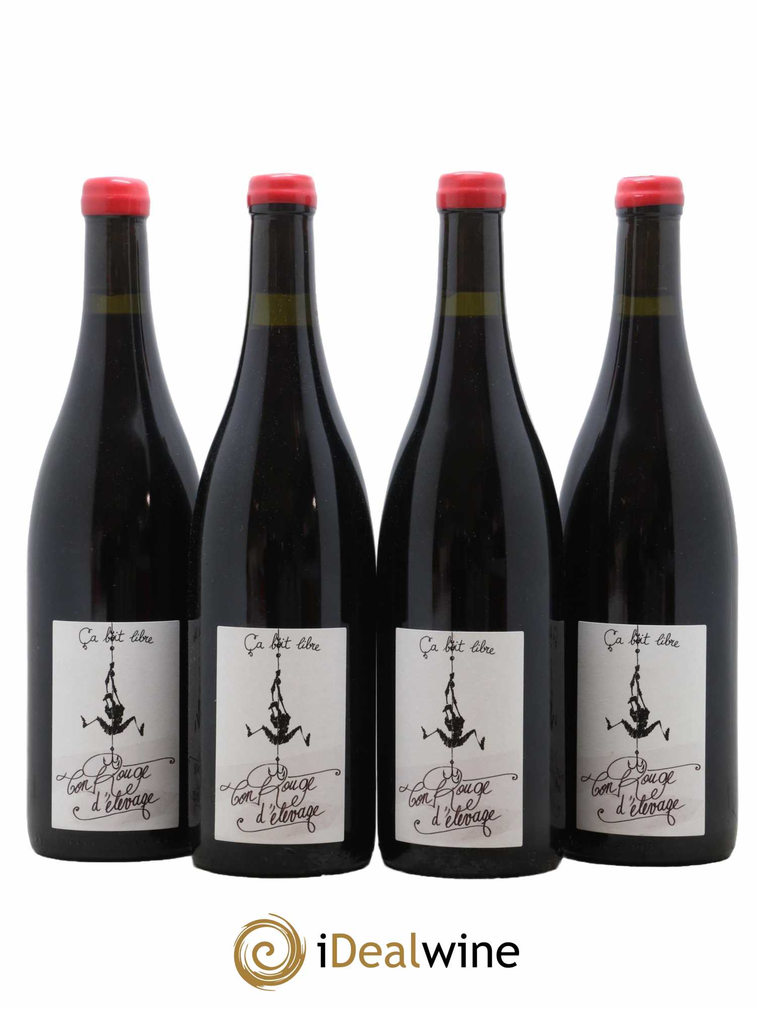 Vin de Savoie Ton rouge d'élevage Domaine Ca boit libre 2021 - Lot de 4 bouteilles - 0