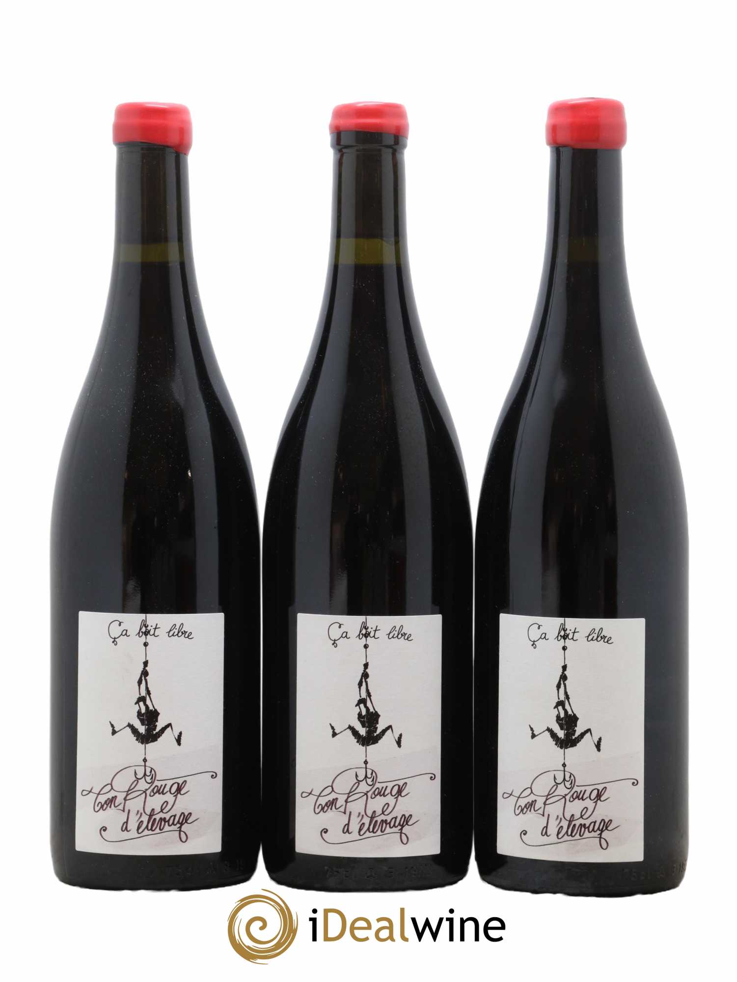 Vin de Savoie Ton rouge d'élevage Domaine Ca boit libre 2021 - Lot de 3 bouteilles - 0