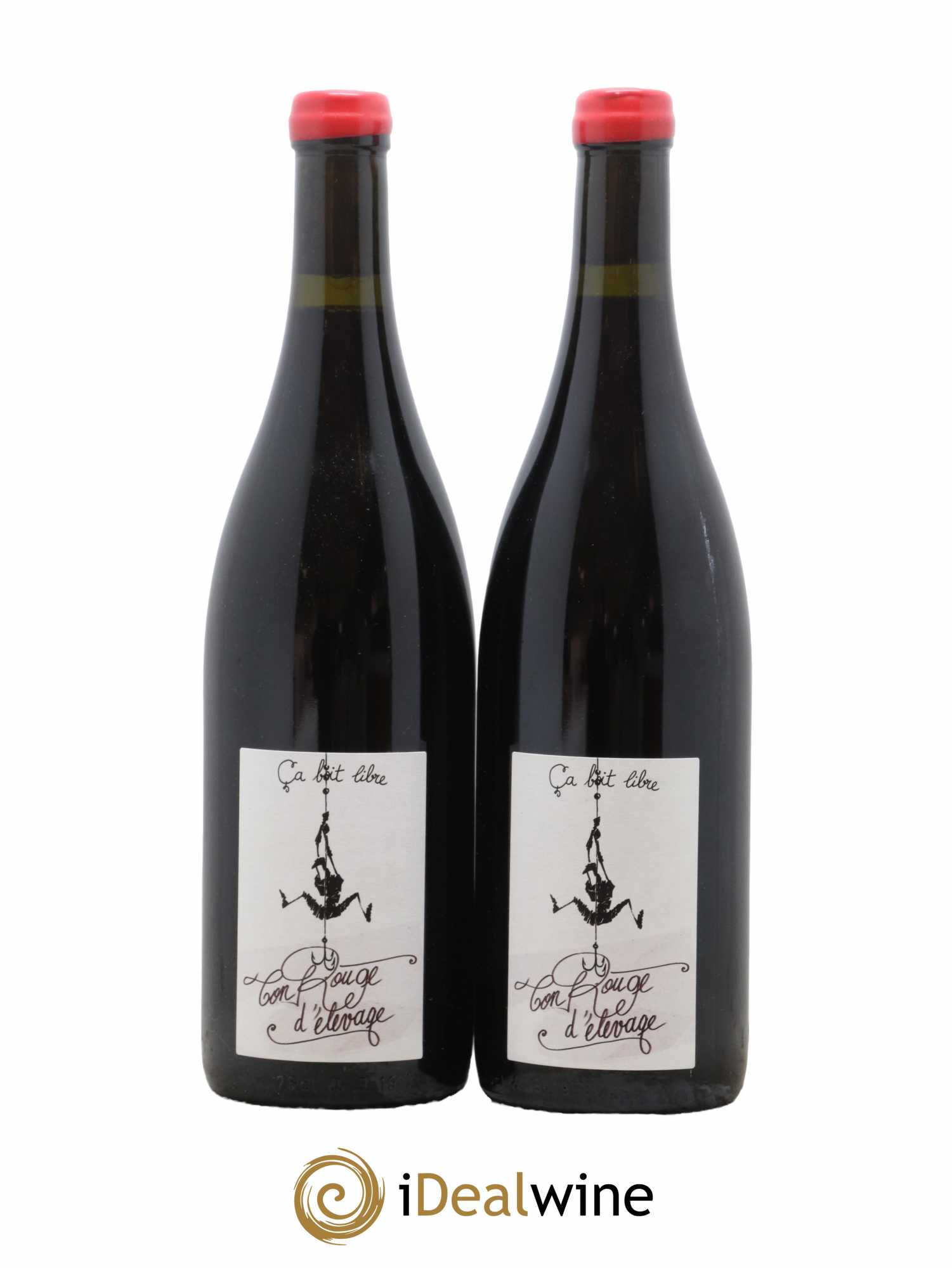 Vin de Savoie Ton rouge d'élevage Domaine Ca boit libre 2021 - Lot de 2 bouteilles - 0