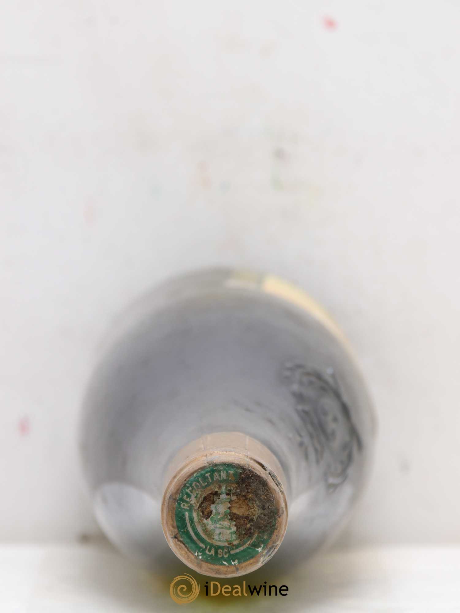Coteaux de l'Aubance Demoiselles Domaine Richou 1989 - Lotto di 4 bottiglie - 1