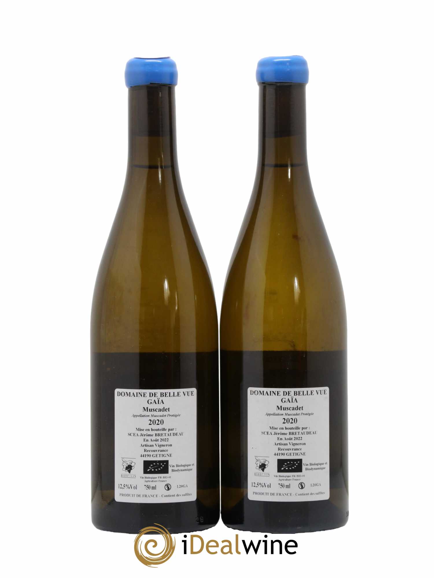 Muscadet-Sèvre-et-Maine Gaia Jérôme Bretaudeau - Domaine de Bellevue 2020 - Lot de 2 bouteilles - 1