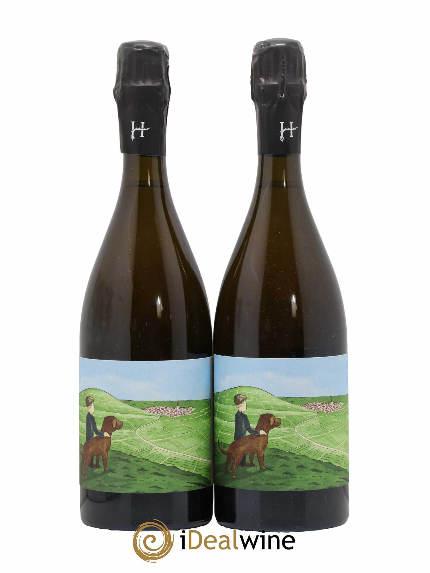 Gamin du Terroir Romain Henin - Lot de 2 bouteilles - 0