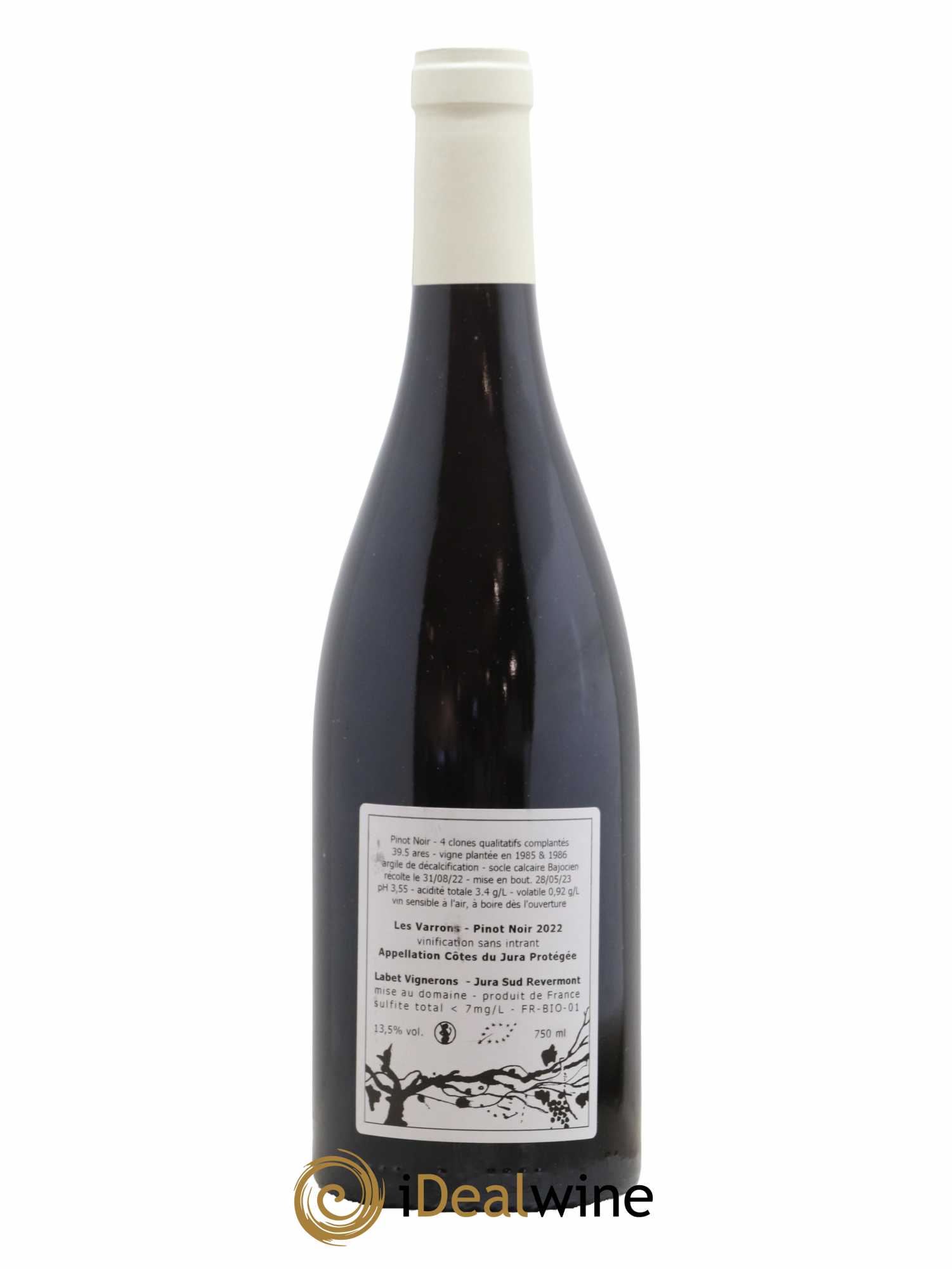 Côtes du Jura Pinot Noir Les Varrons Sélection Massale Romain - Julien - Charline Labet 2022 - Lot de 1 bouteille - 1