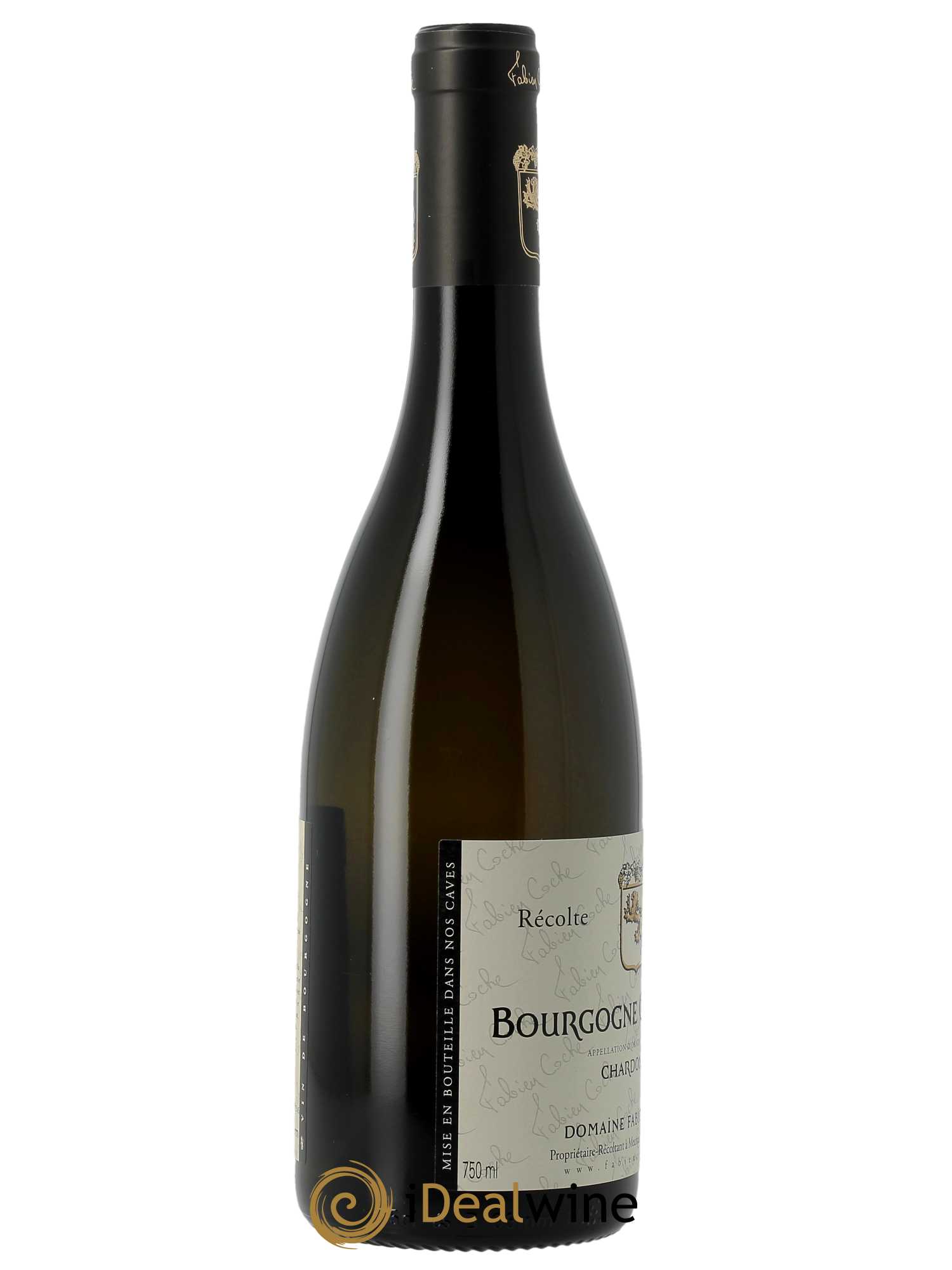 Bourgogne Côte-d'Or Fabien Coche 2022 - Lot of 1 bottle - 2