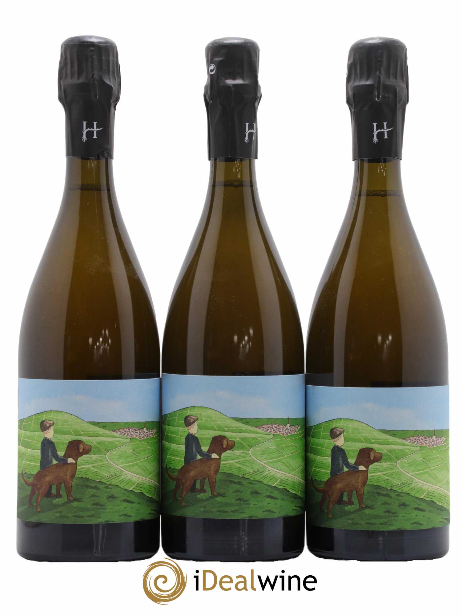 Gamin du Terroir Romain Henin - Lot de 3 bouteilles - 0
