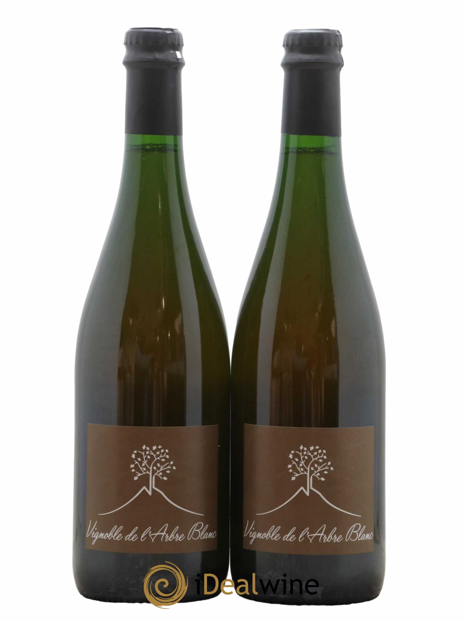 Vin de France Les Fesses Vignoble de l'Arbre Blanc 2018 - Lot de 2 bouteilles - 0