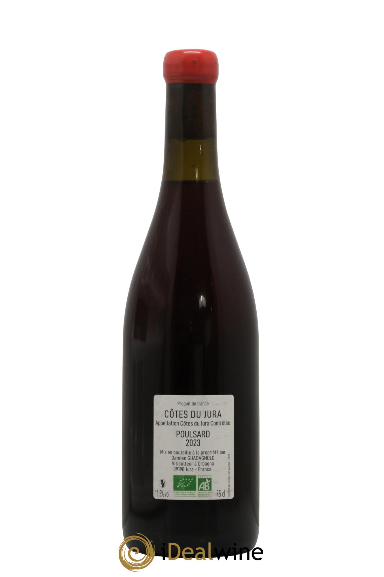 Côtes du Jura Poulsard Damien Guadagnolo 2023 - Lot de 1 bouteille - 1