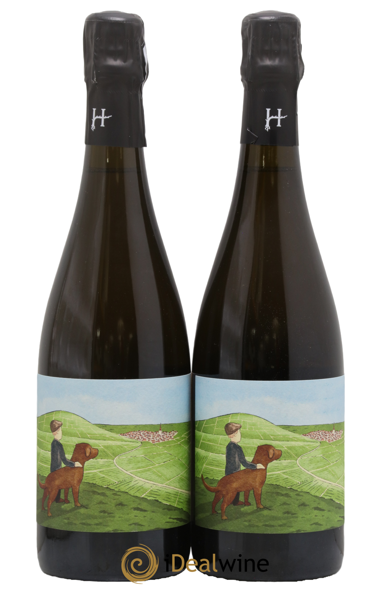 Gamin du Terroir Romain Henin - Lot de 2 bouteilles - 0