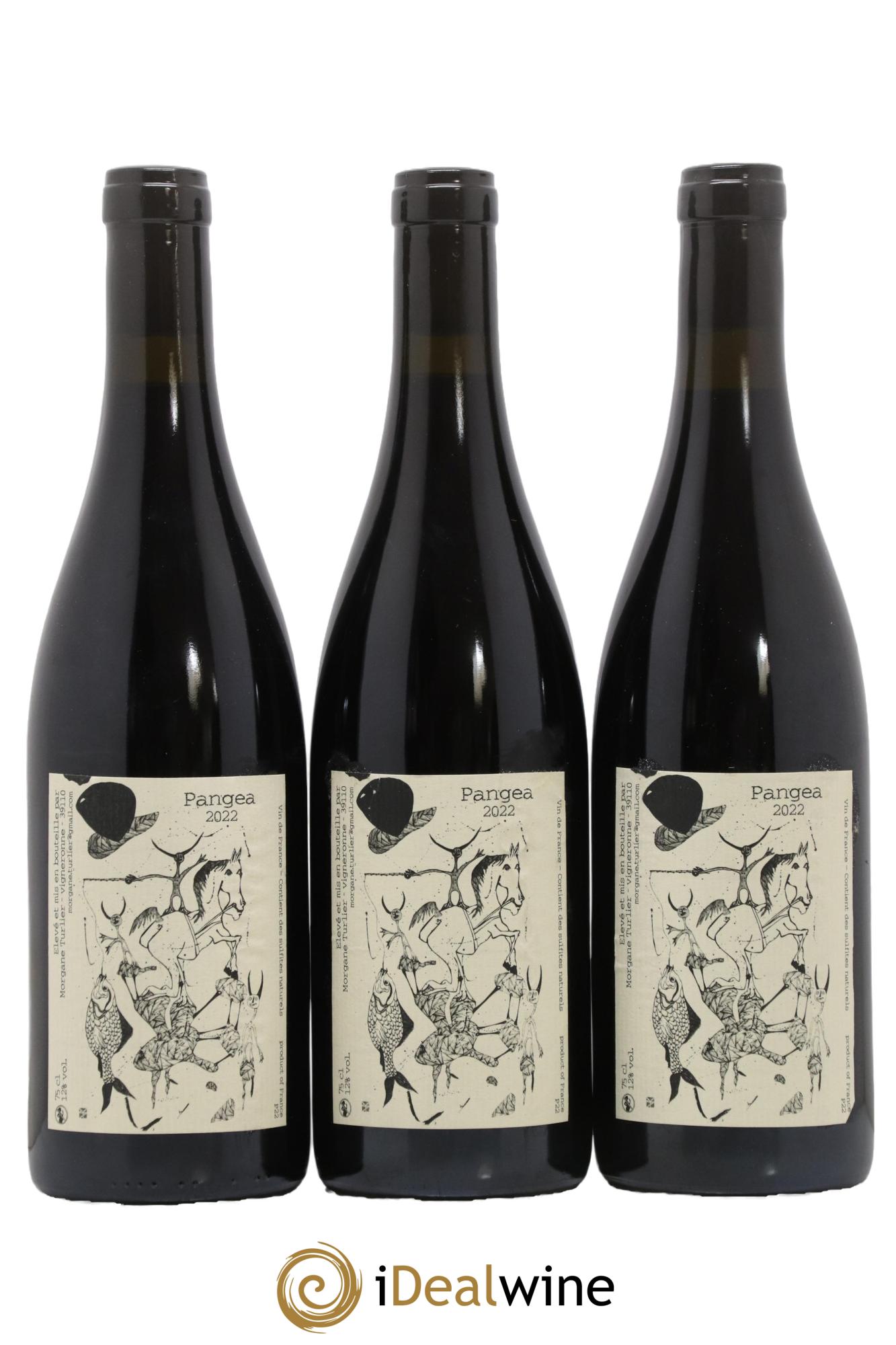 Vin de France Pangea Morgane Turlier 2022 - Lot de 3 bouteilles - 0