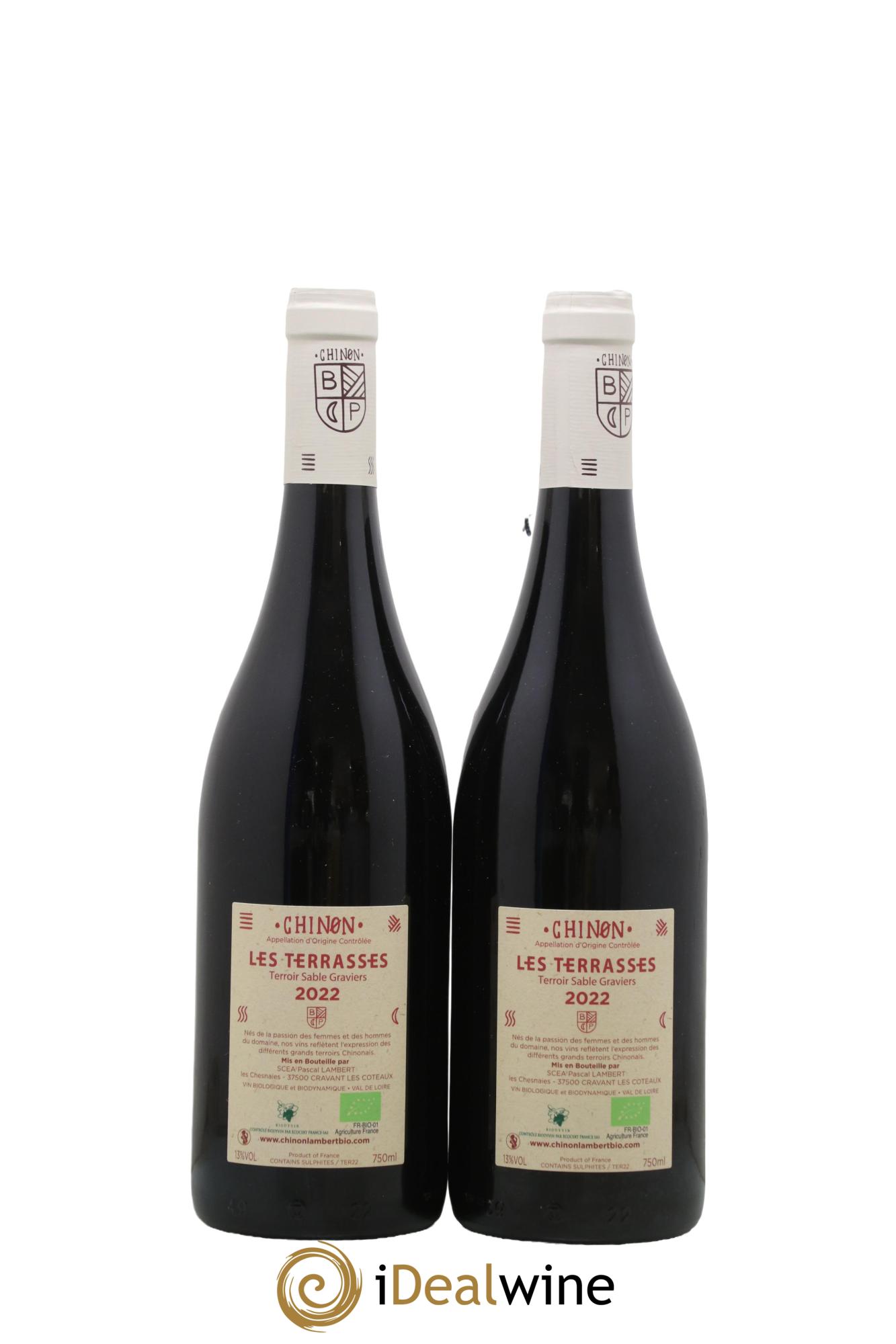 Chinon Domaine Lambert Les Terrasses 2022 - Lot of 2 bottles - 1