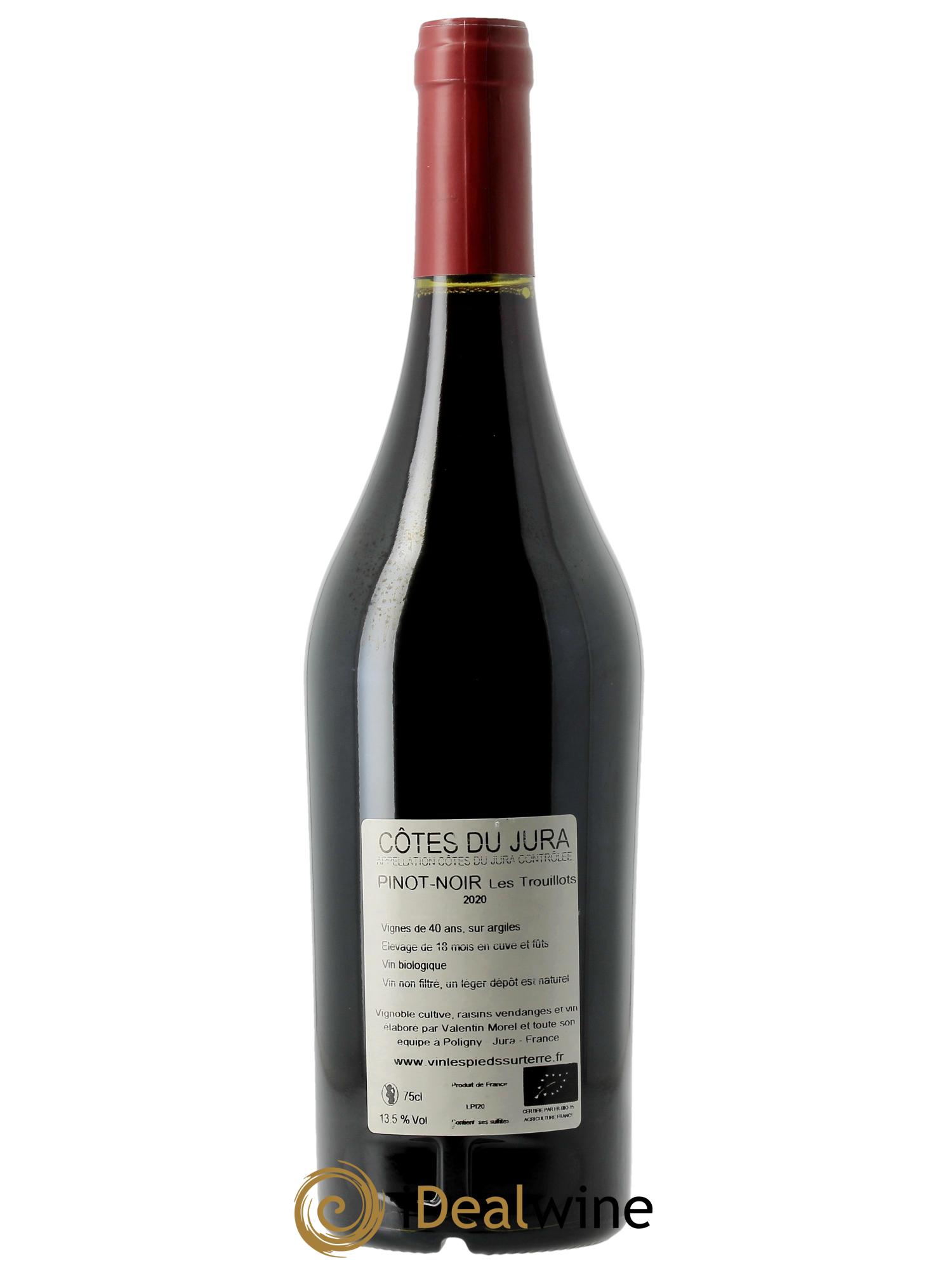 Côtes du Jura Pinot Noir - Les Trouillots Valentin Morel 2020 - Lot of 1 bottle - 1
