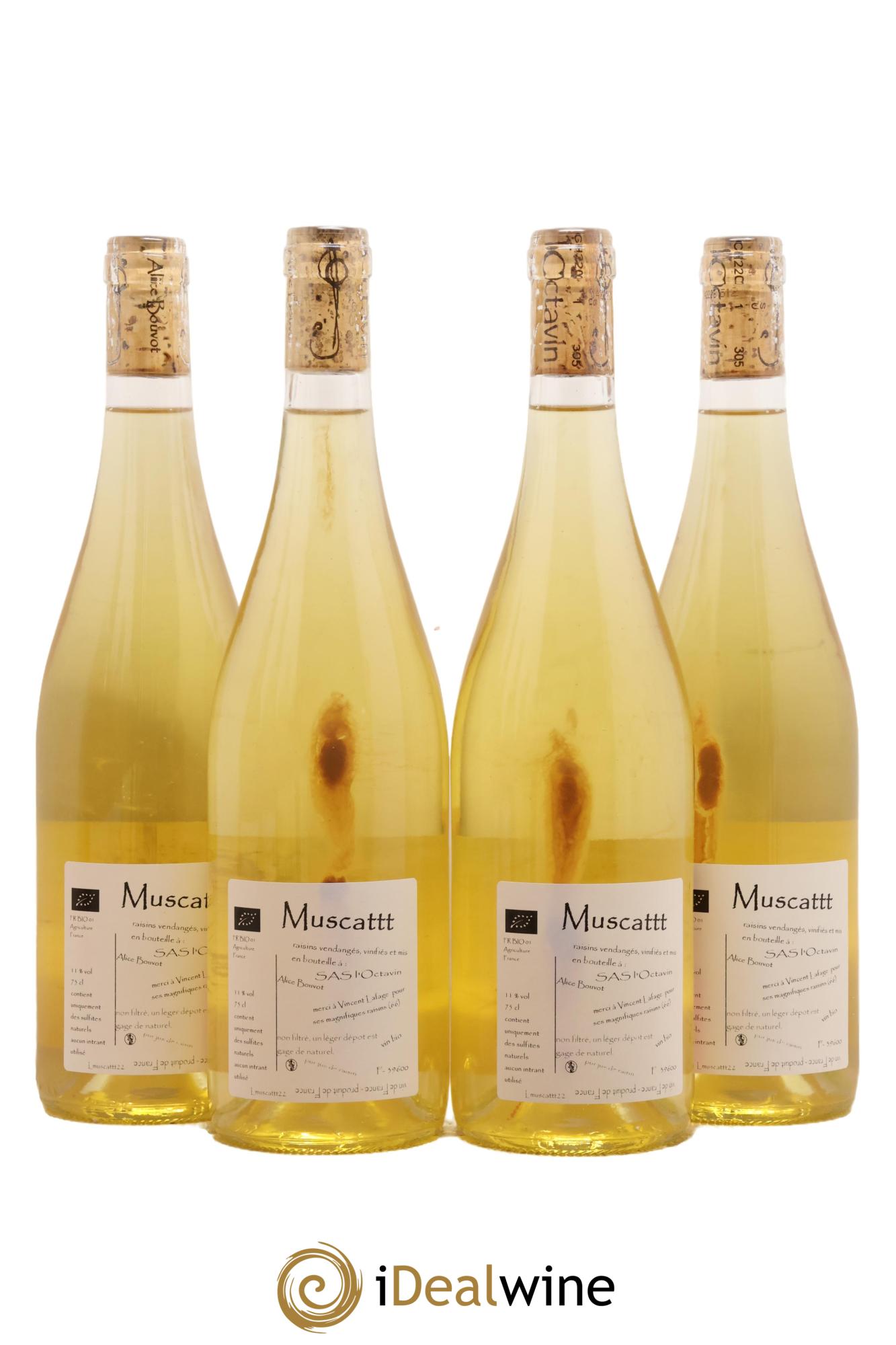 Vin de France Muscattt Alice Bouvot 2022 - Lotto di 4 bottiglie - 1