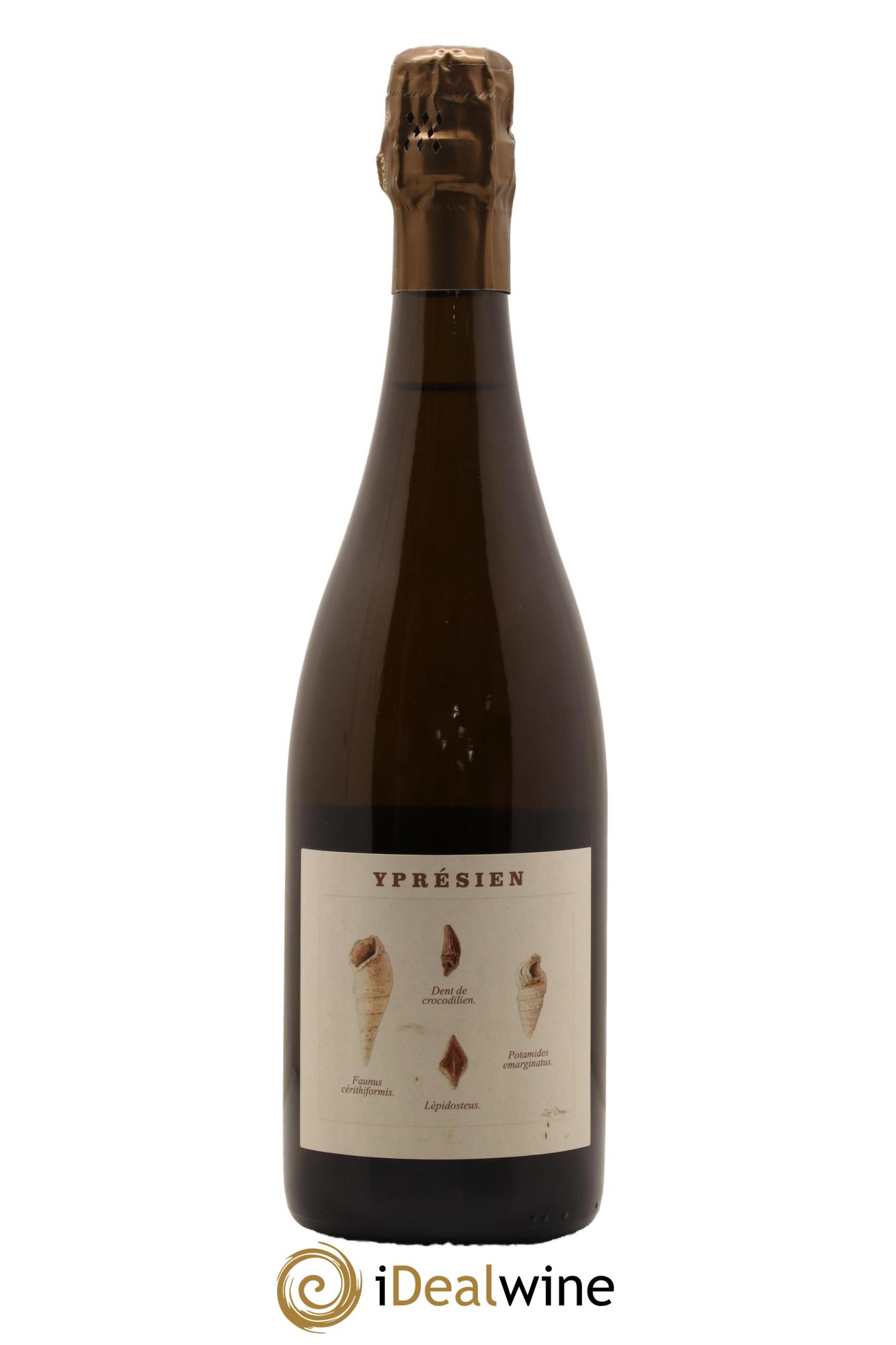 Yprésien Legrand Latour - Lot de 1 bouteille - 0