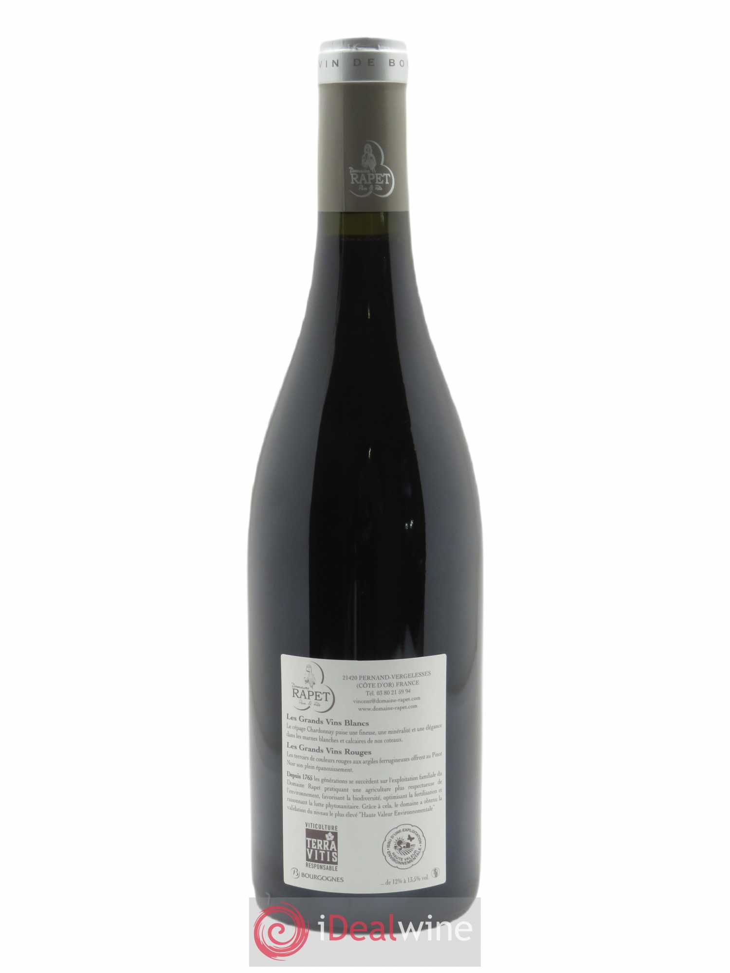 Pernand-Vergelesses 1er Cru Les Vergelesses Rapet Père & Fils 2020 - Posten von 1 Flasche - 1