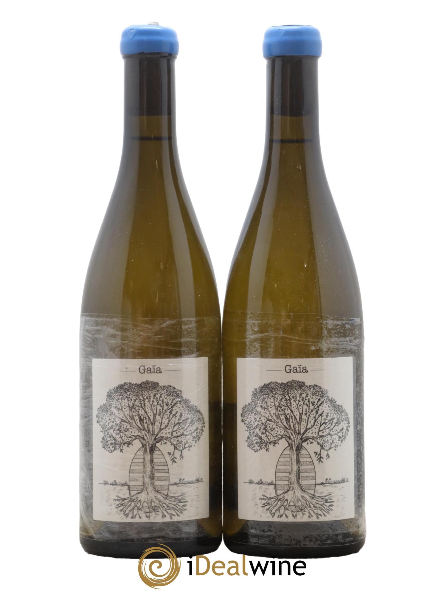 Muscadet-Sèvre-et-Maine Gaia Jérôme Bretaudeau - Domaine de Bellevue 2019 - Lot de 2 bouteilles - 0