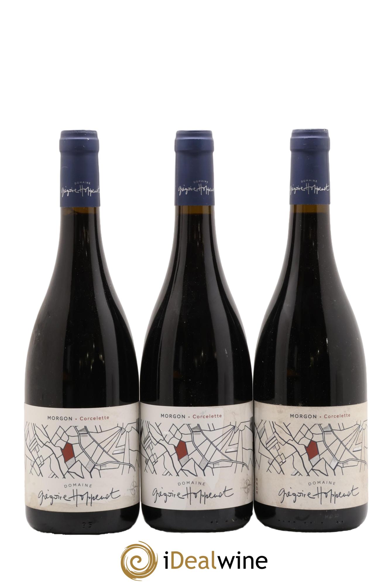 Morgon Corcelette Grégoire Hoppenot (Domaine) 2022 - Lot de 3 bouteilles - 0