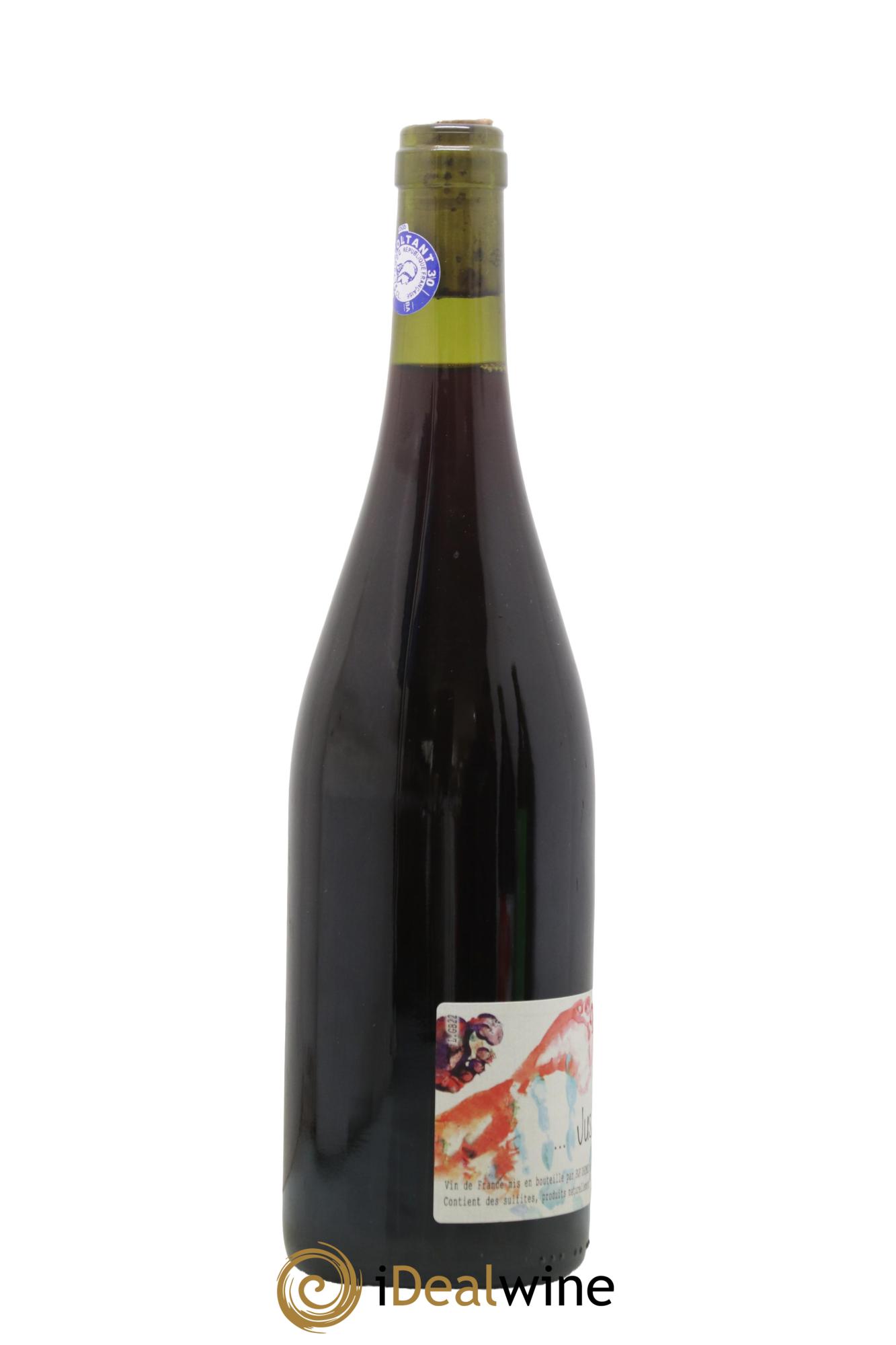 Vin de France Jus de Vilain Domaine François Dhumes 2022 - Lot de 1 bouteille - 1