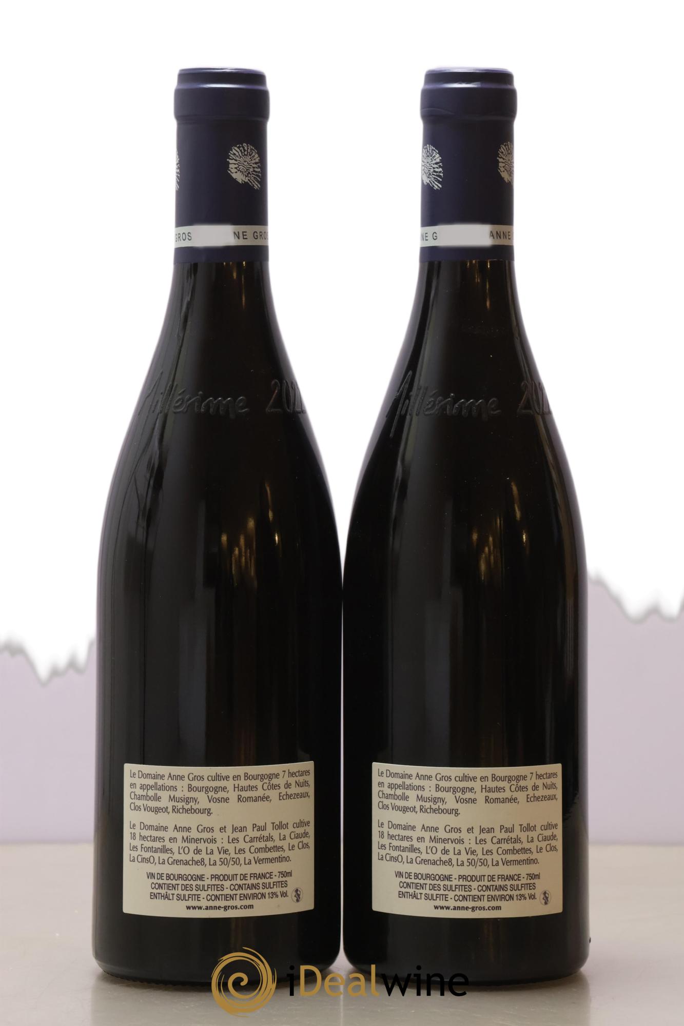 Richebourg Grand Cru Anne Gros 2022 - Posten von 2 Flaschen - 1
