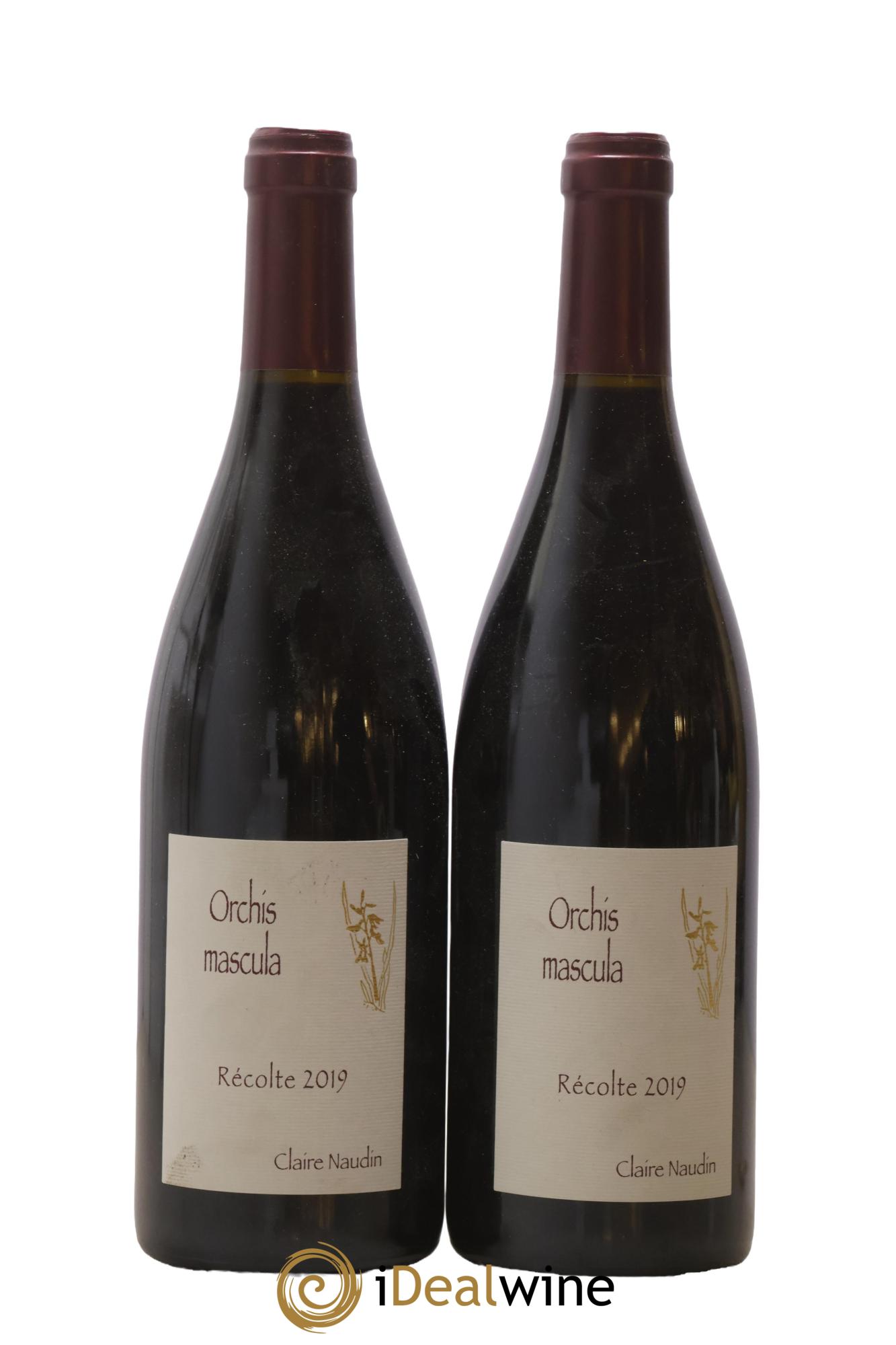 Saumur-Champigny Les Coudraies Domaine des Closiers 2019 - Lotto di 2 bottiglie - 1