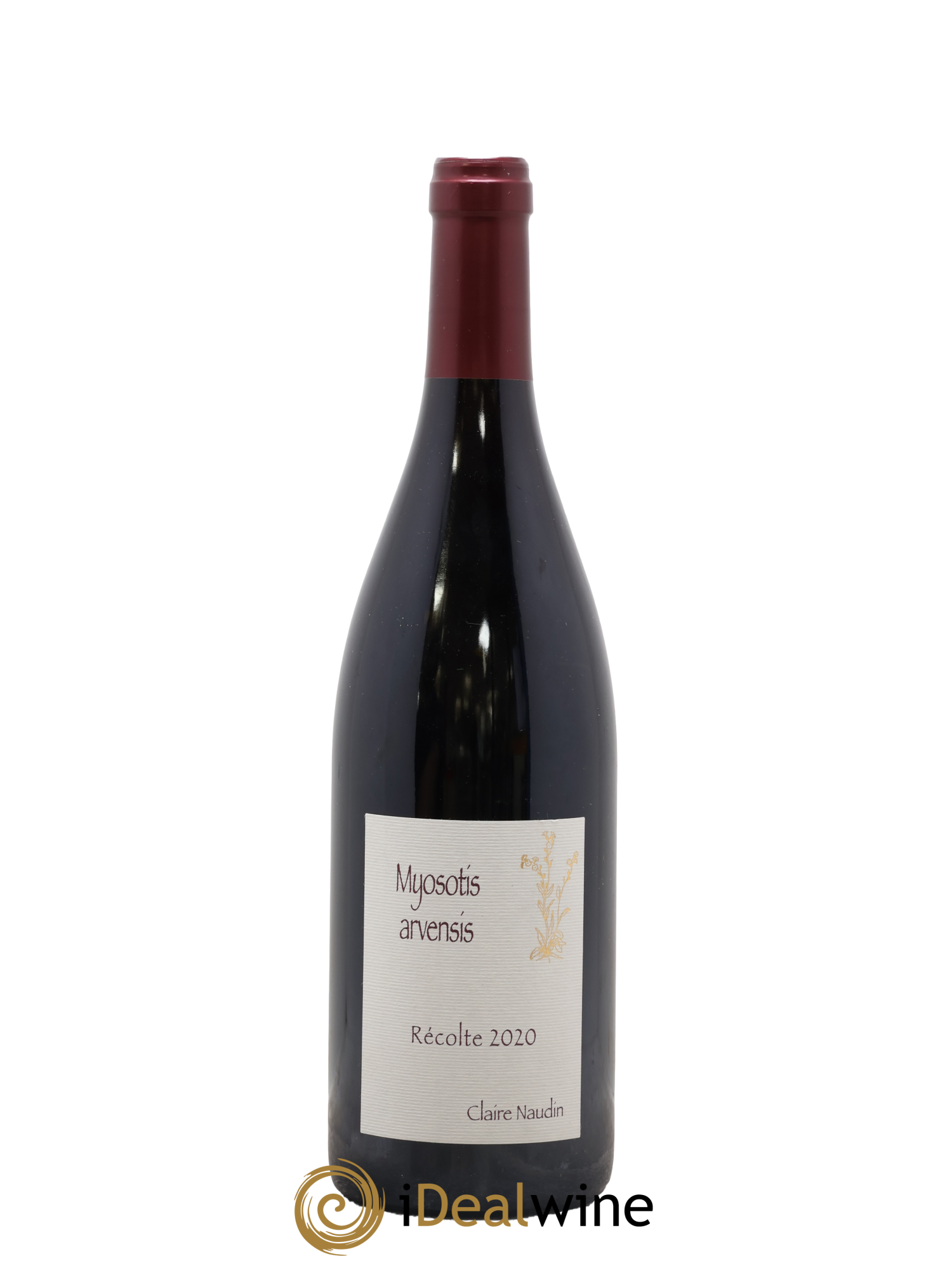 Hautes-Côtes de Nuits Myosotis Arvensis Naudin-Ferrand (Domaine) 2020 - Posten von 1 Flasche - 0