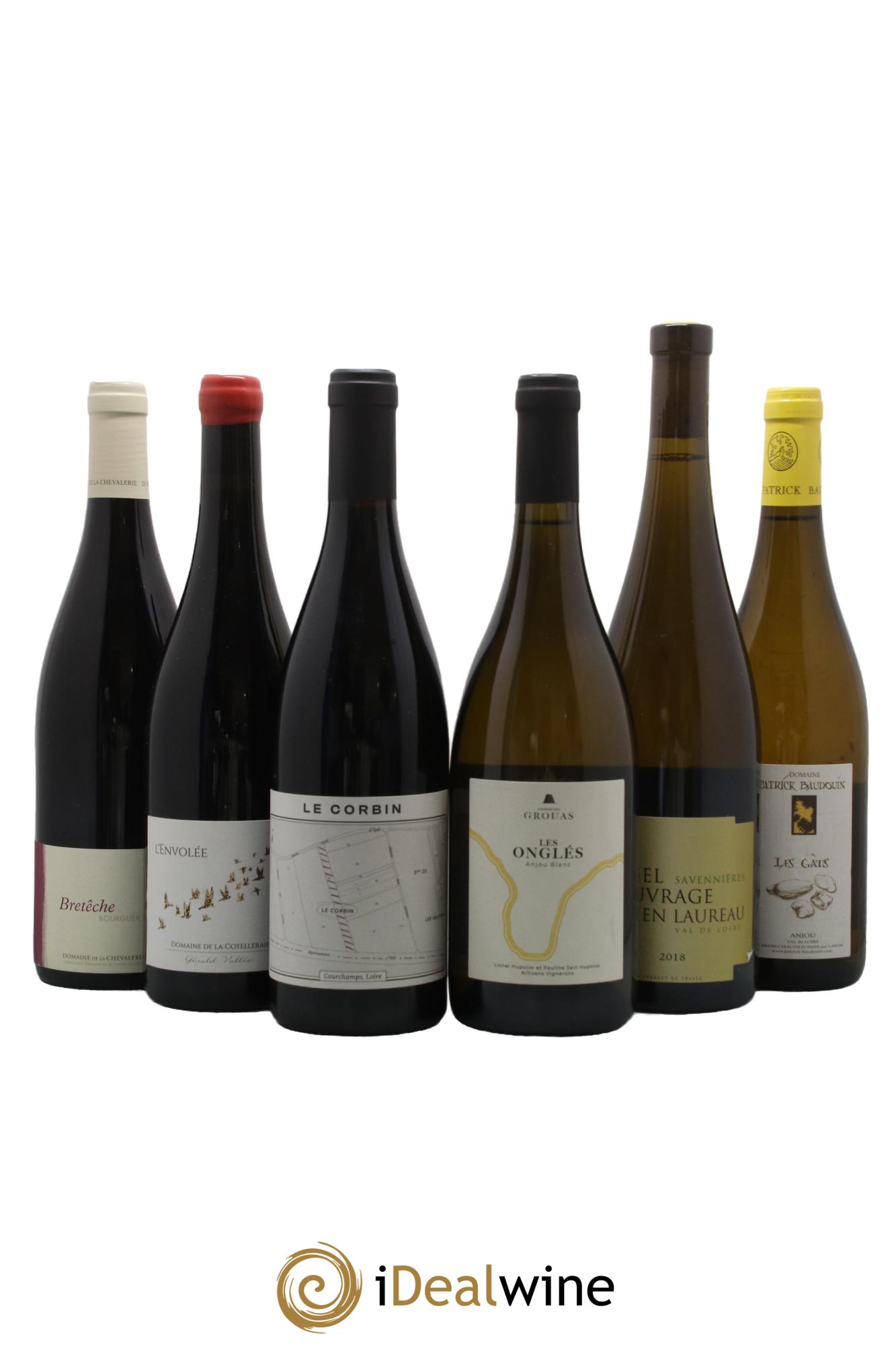 Assortiment de vins d'Anjou noir - Saumur - Bourgueil N°4 - Lot of 6 bottles - 0