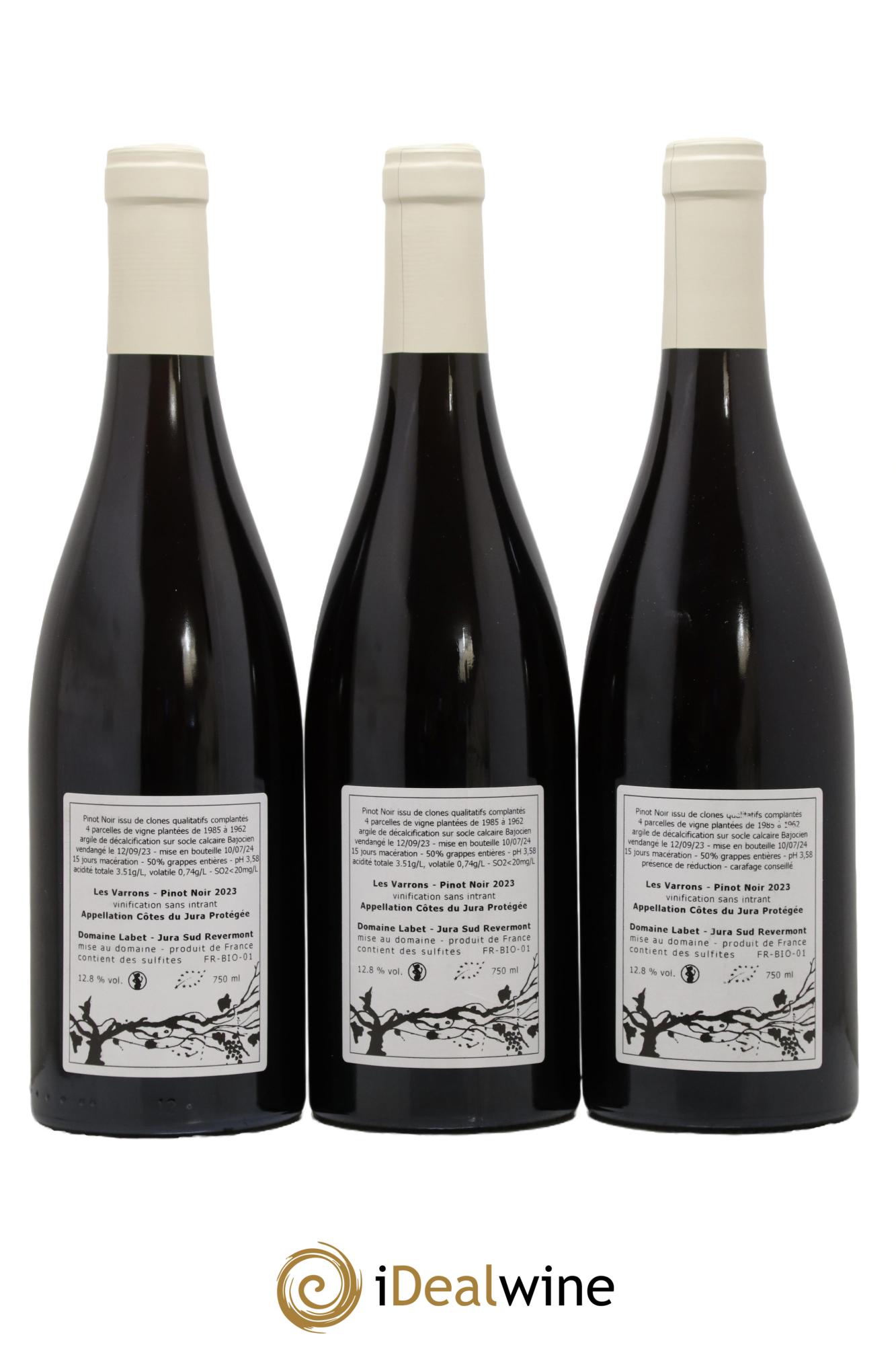 Côtes du Jura Pinot Noir Les Varrons Sélection Massale Romain - Julien  - Charline Labet 2023 - Lotto di 3 bottiglie - 1