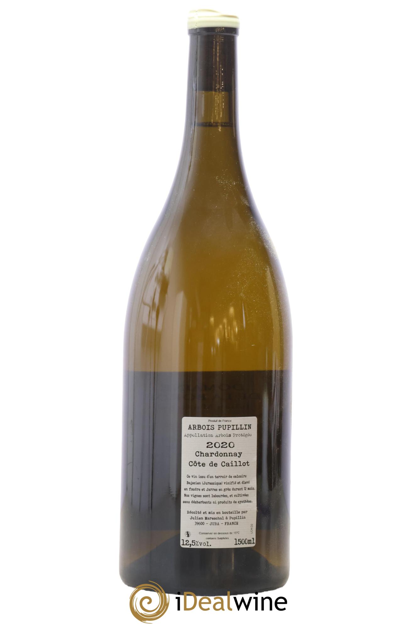 Arbois Pupillin Côtes de Caillots Domaine De La Borde 2020 - Lot of 1 magnum - 1
