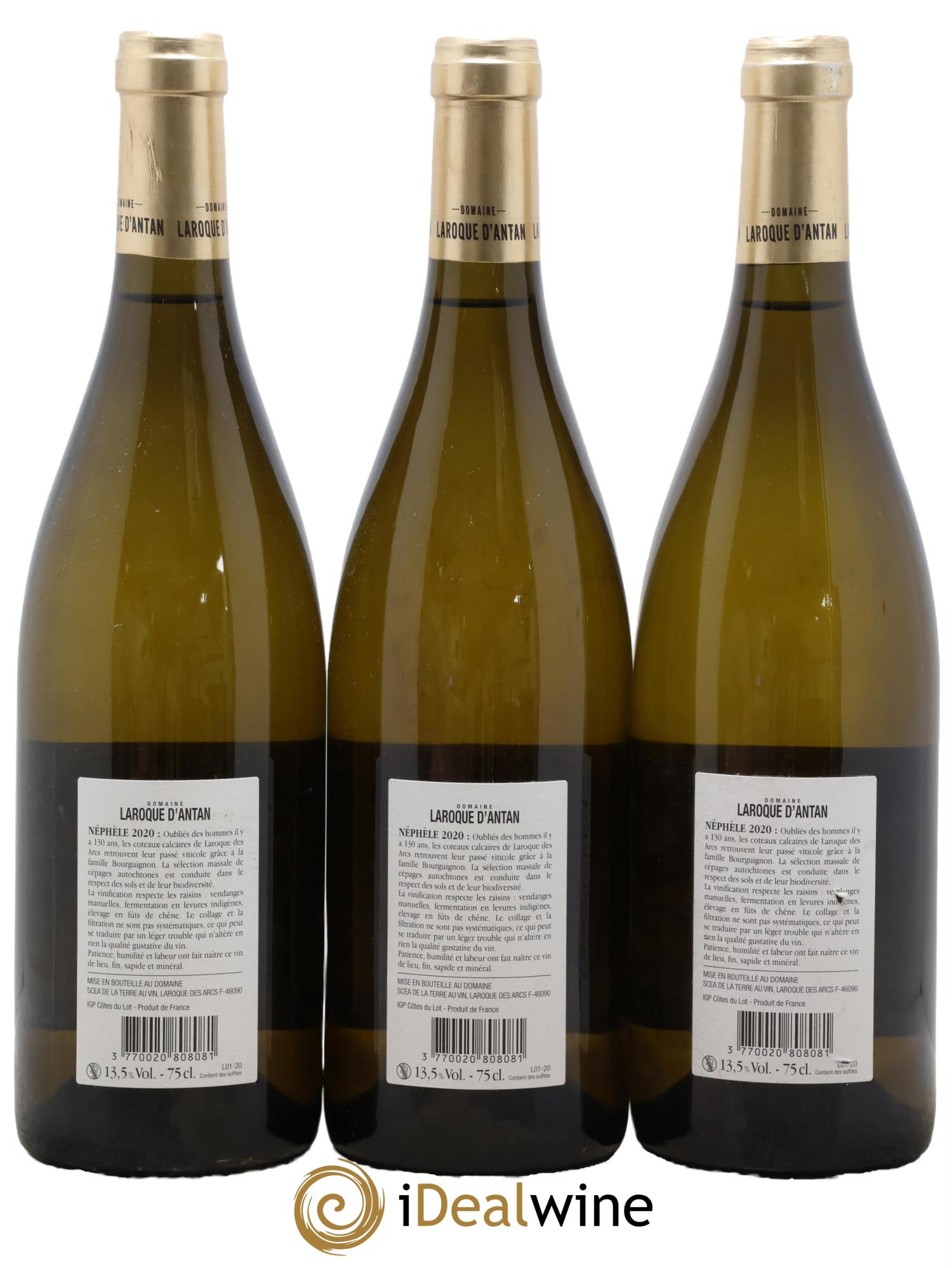 Côtes du Lot Néphèle Laroque d'Antan (Domaine) 2020 - Lot of 3 bottles - 1