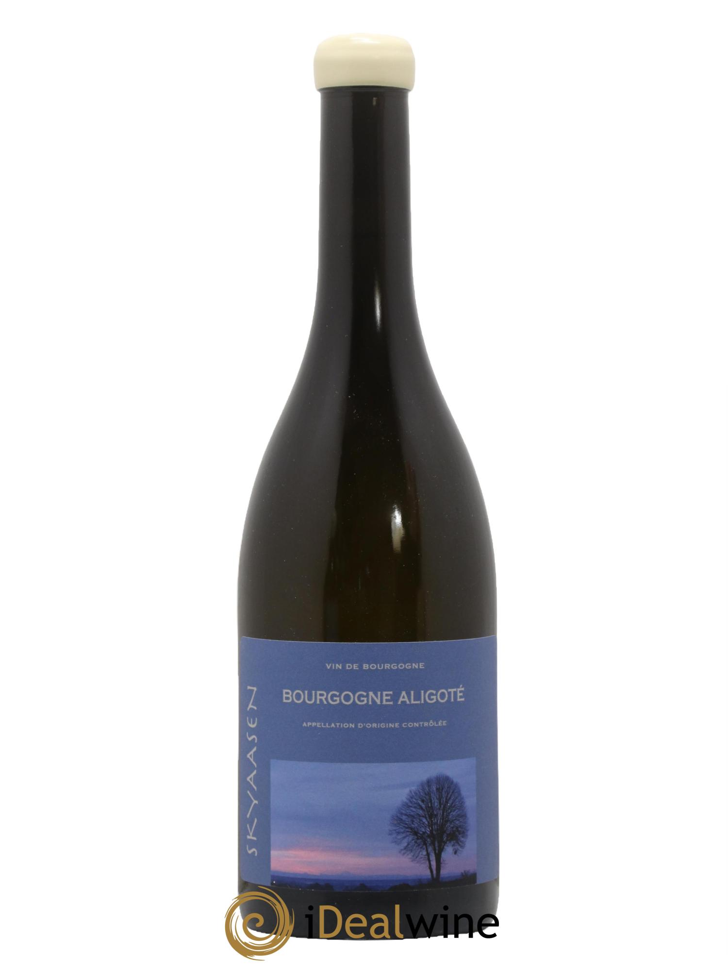 Bourgogne Aligoté Maison Skyaasen 2022 - Lot de 1 bouteille - 0