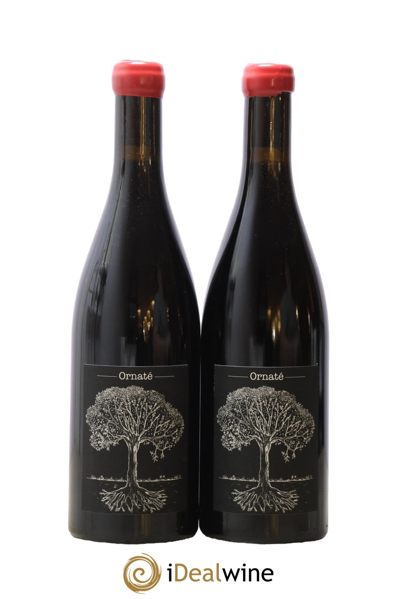 Vin de France Merlot Ornaté Jérôme Bretaudeau - Domaine de Bellevue Gorges Ornaté Jérôme Bretaudeau 2022 - Lotto di 2 bottiglie - 0