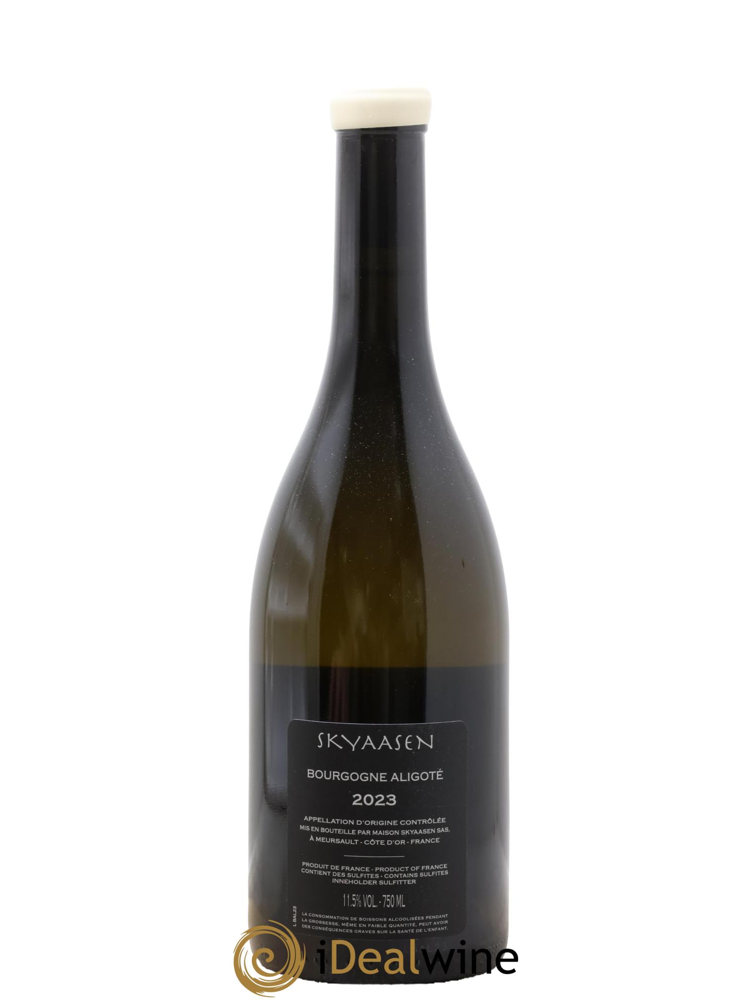 Bourgogne Aligoté Maison Skyaasen 2023 - Posten von 1 Flasche - 1