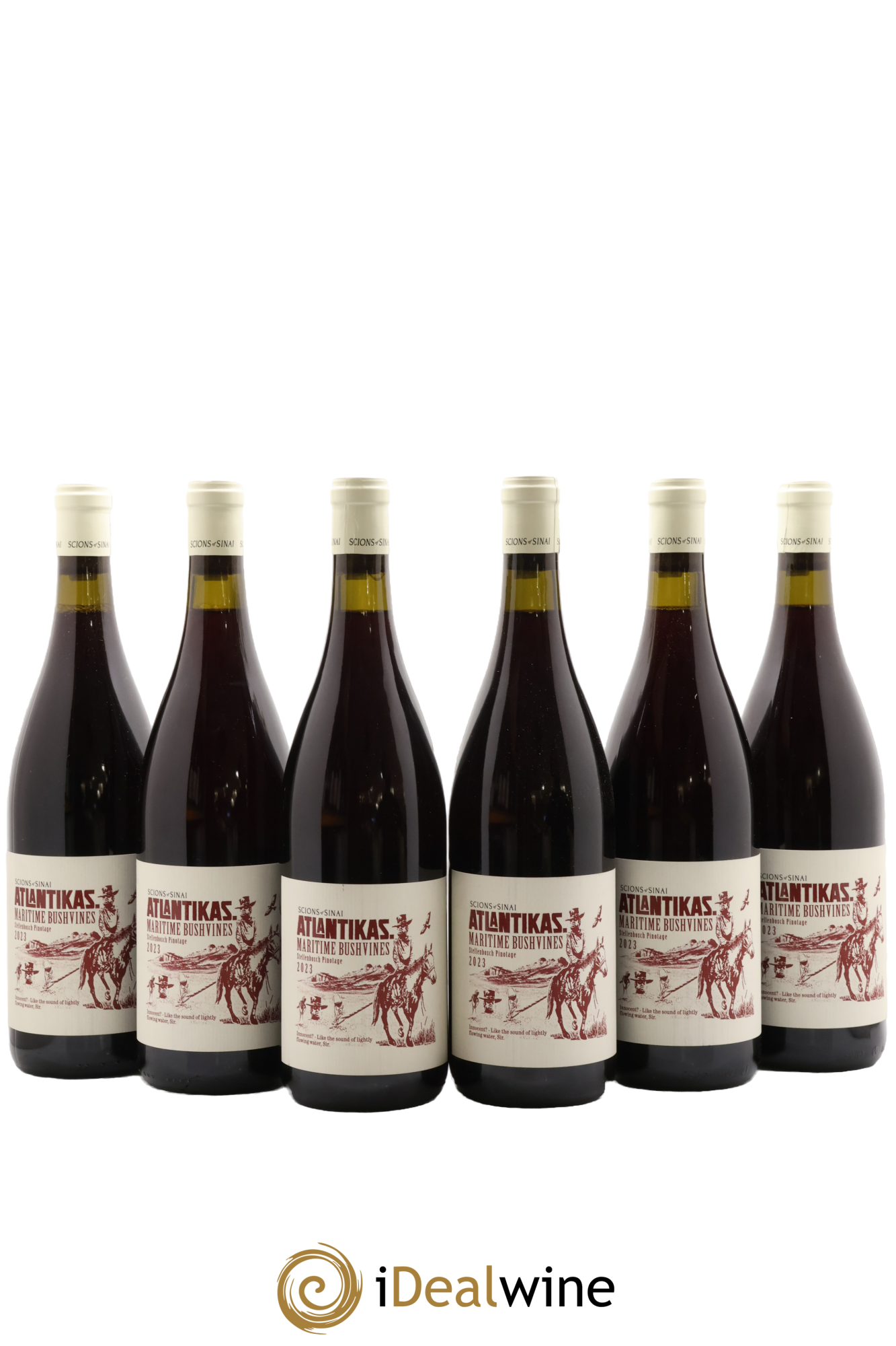 Afrique du Sud Scions of Sinai Pinotage Atlantikas 2023 - Lot de 6 bouteilles - 0