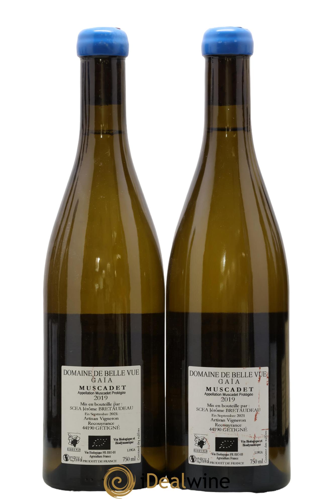 Muscadet-Sèvre-et-Maine Gaia Jérôme Bretaudeau - Domaine de Bellevue 2019 - Lot of 2 bottles - 1