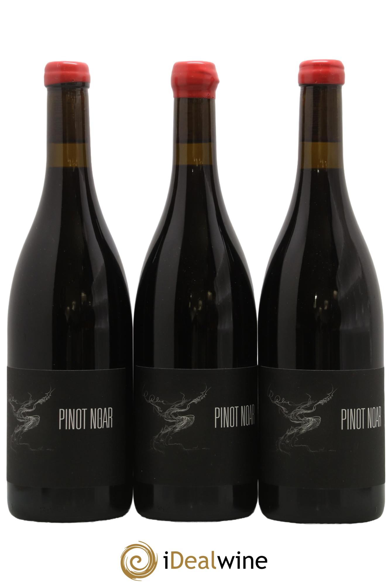 Hautes-Côtes de Nuits Pinot Noar Arnaud Lopez 2022 - Lot of 3 bottles - 0