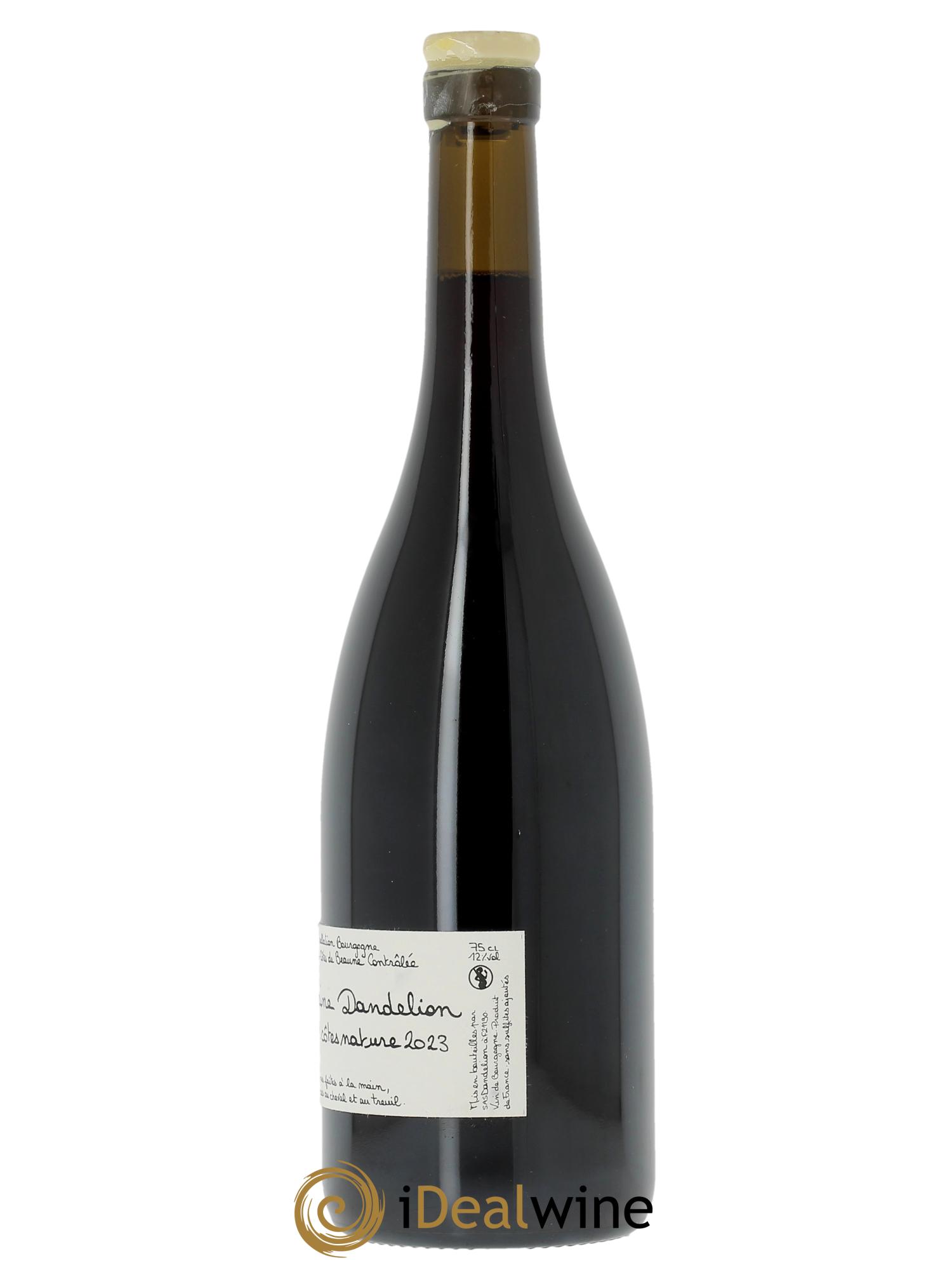 Hautes-Côtes de Beaune Dandelion (Domaine)  2023 - Posten von 1 Flasche - 1