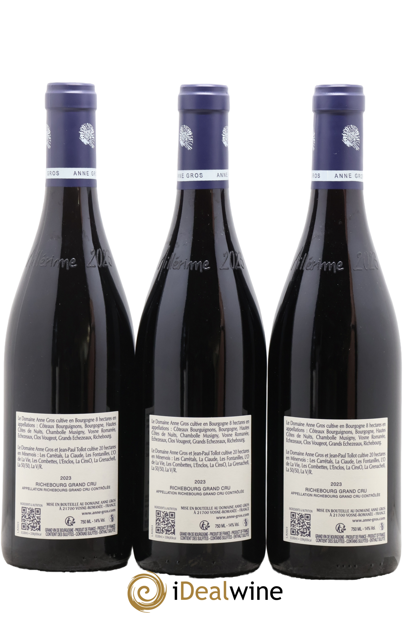Richebourg Grand Cru Anne Gros 2023 - Lot of 3 bottles - 1