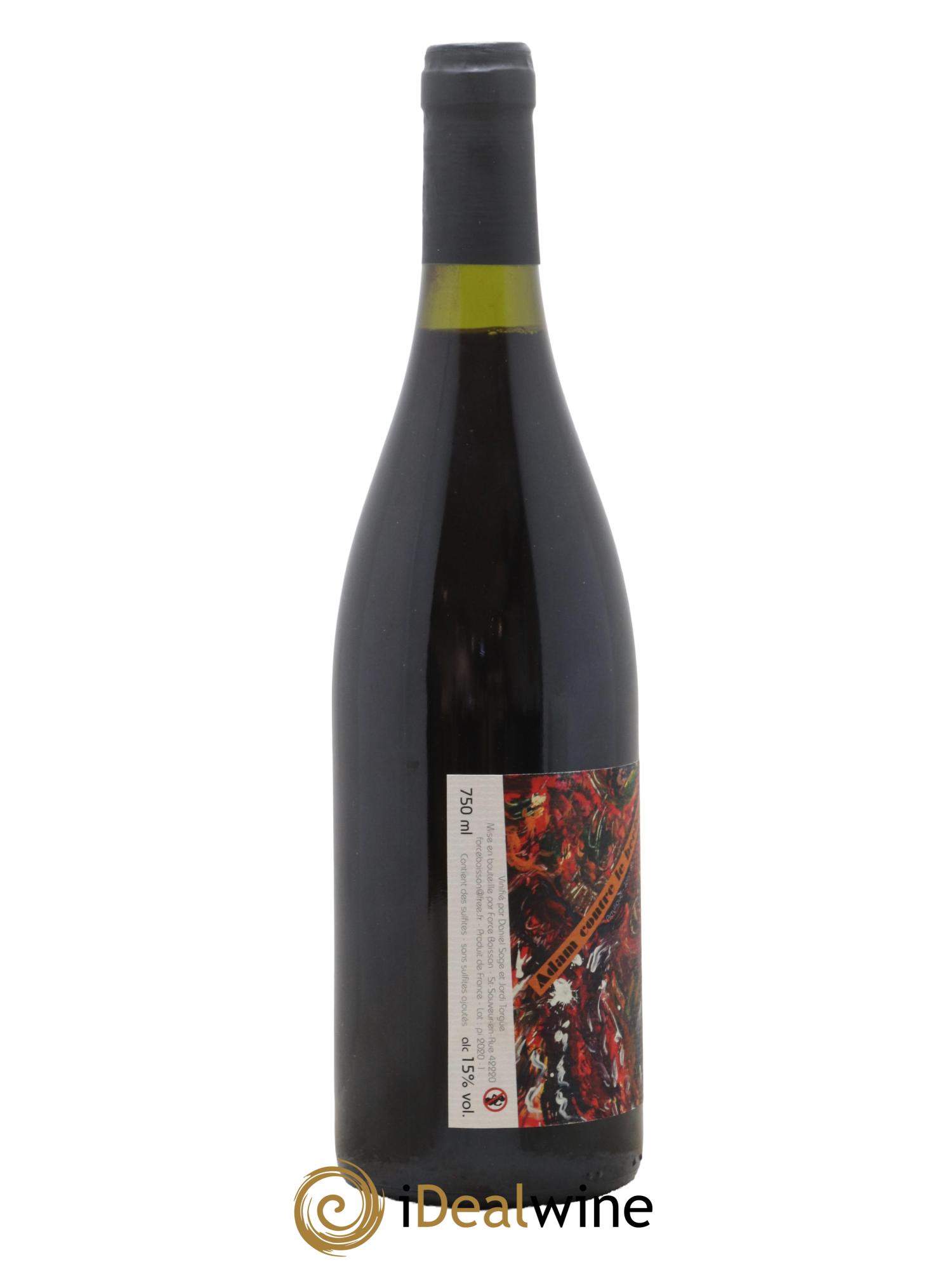 Vin de France Adam Contre le Beefsteak Daniel Sage 2019 - Lot de 1 bouteille - 1